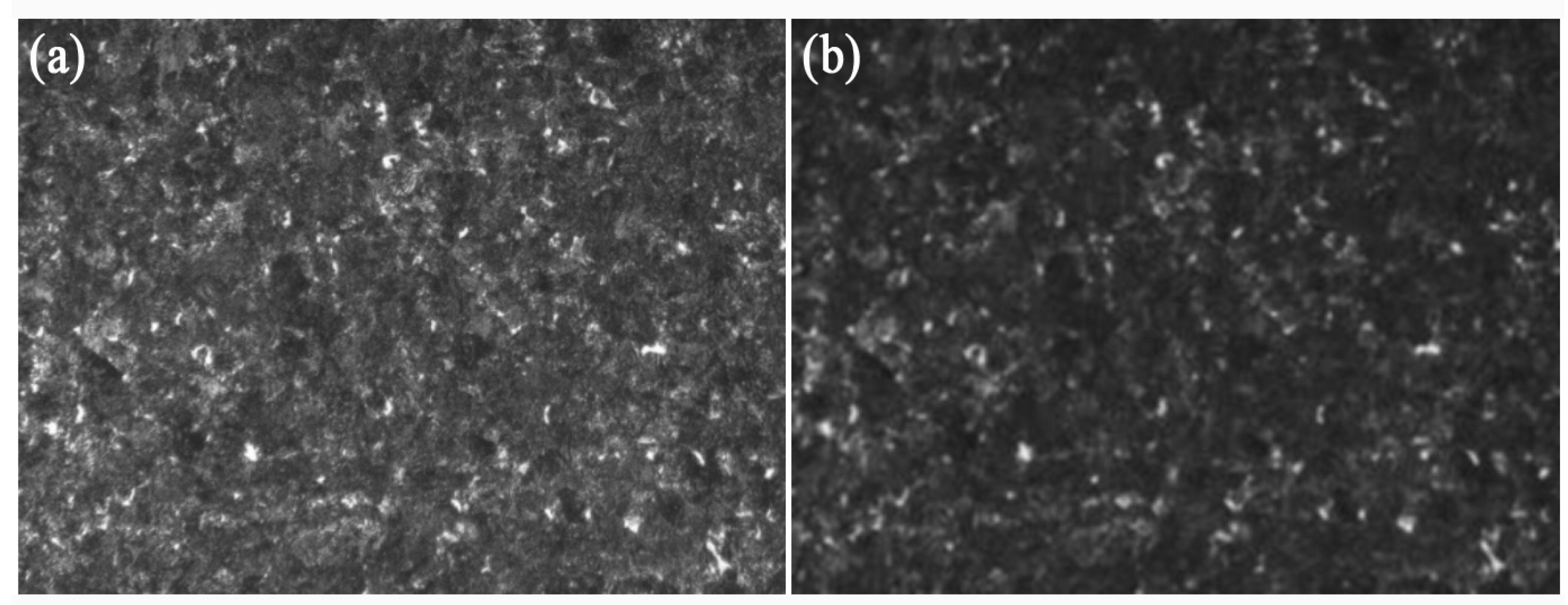 Metals 13 00990 g006