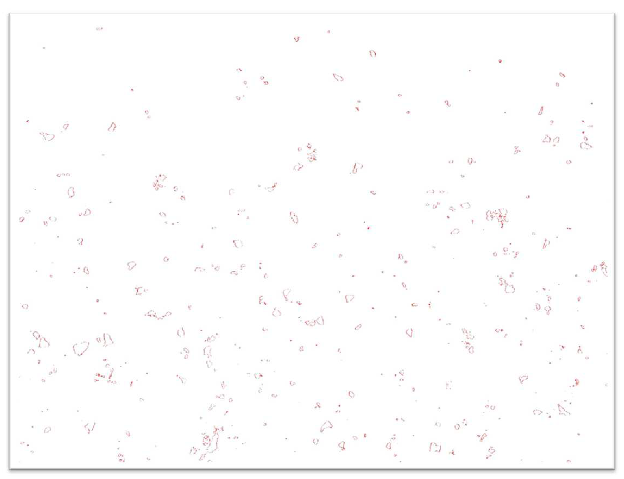 Metals 13 00990 g007