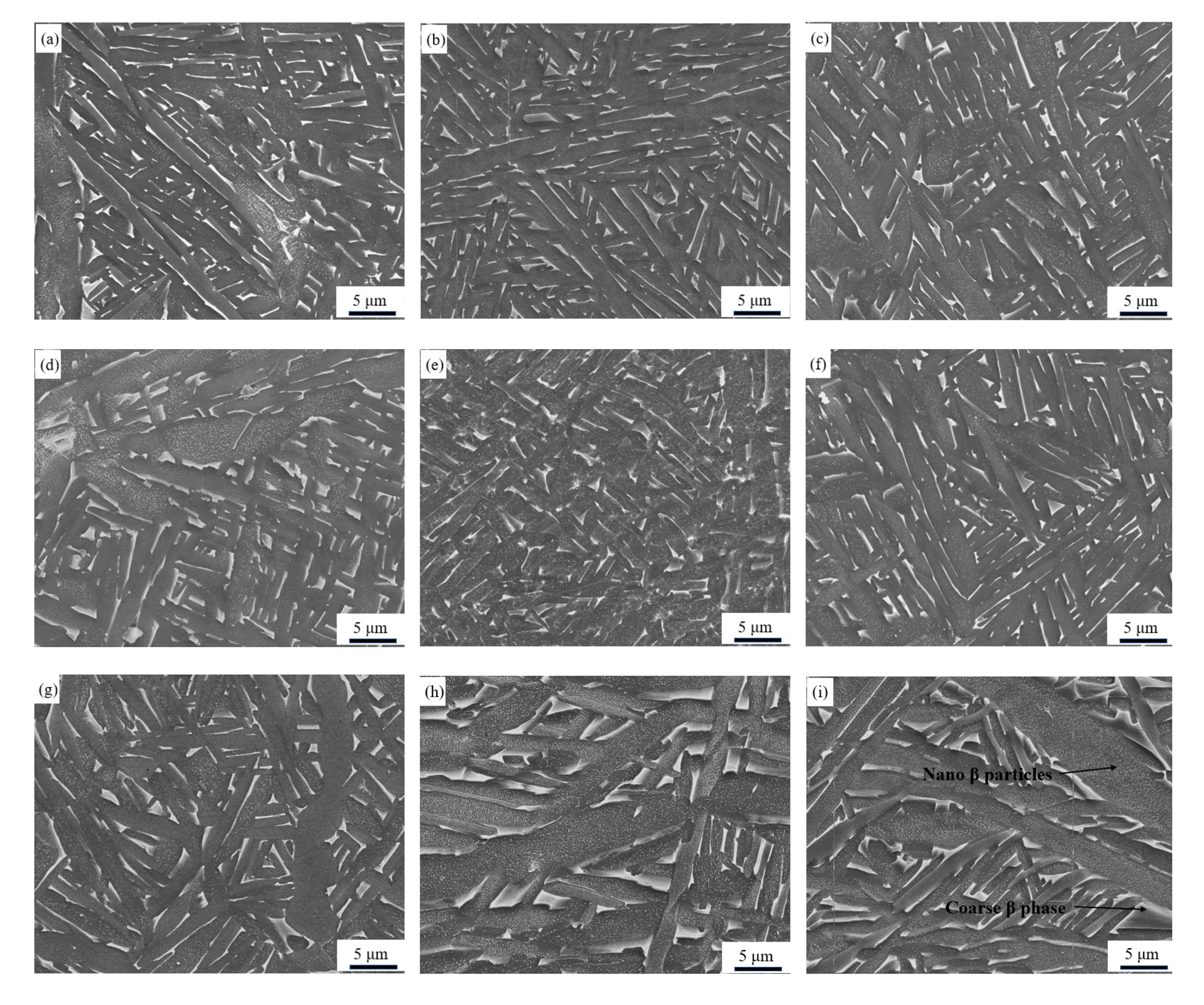 Metals 13 00991 g006