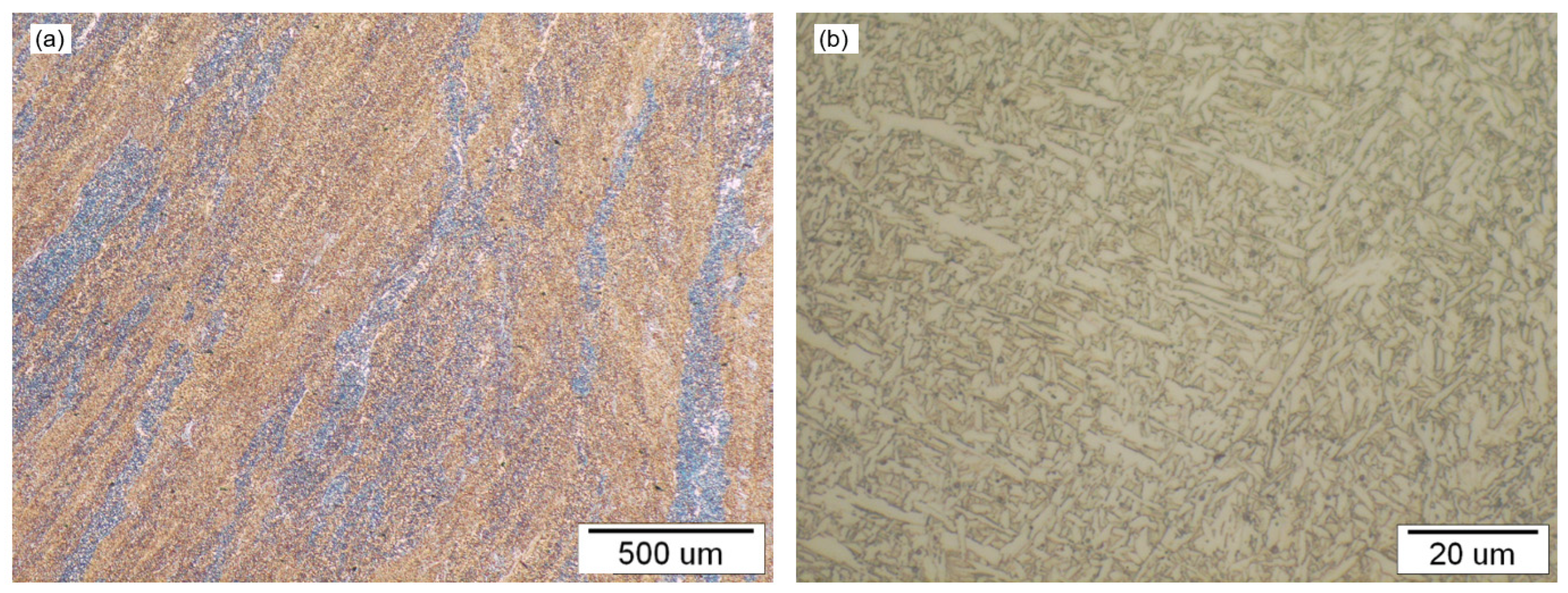 Metals 13 00999 g022