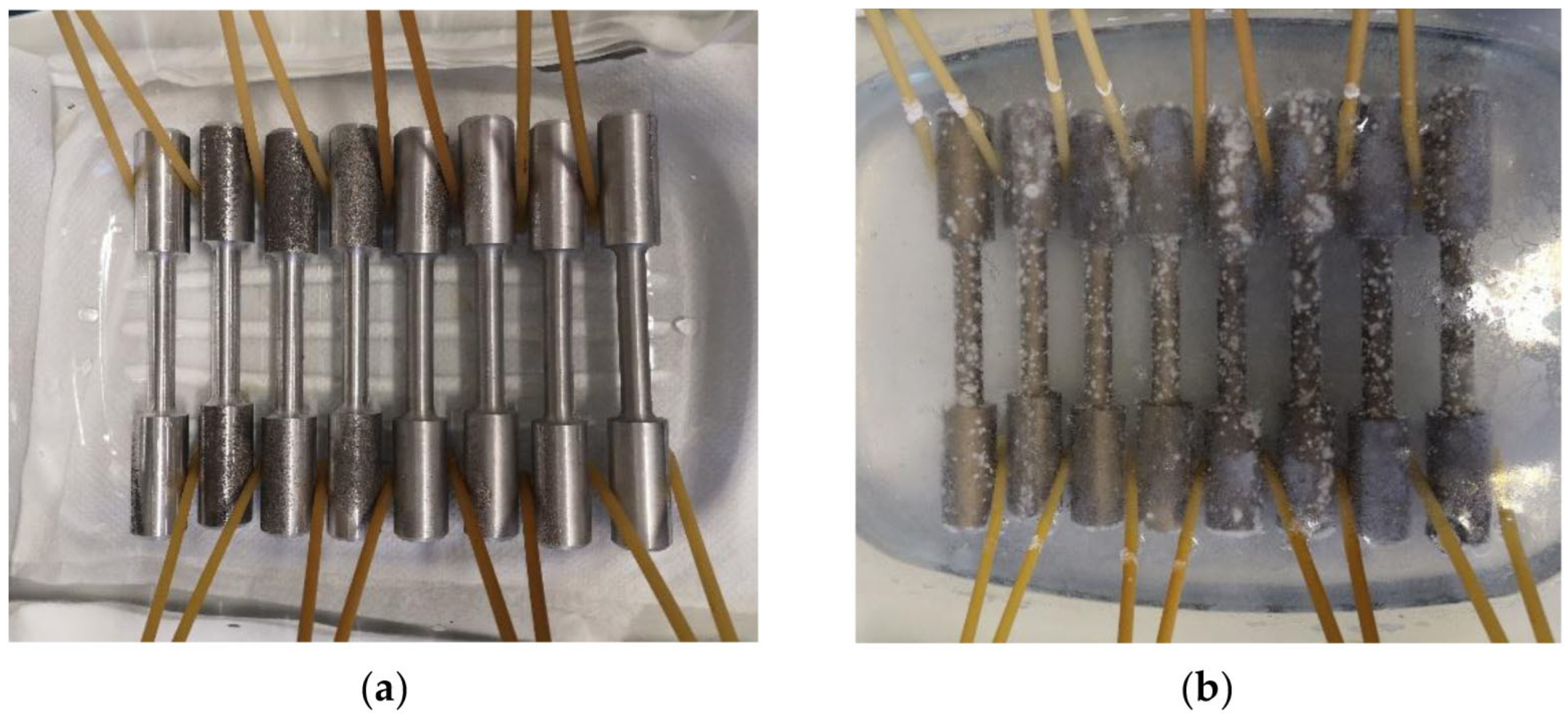 Metals 13 01019 g002