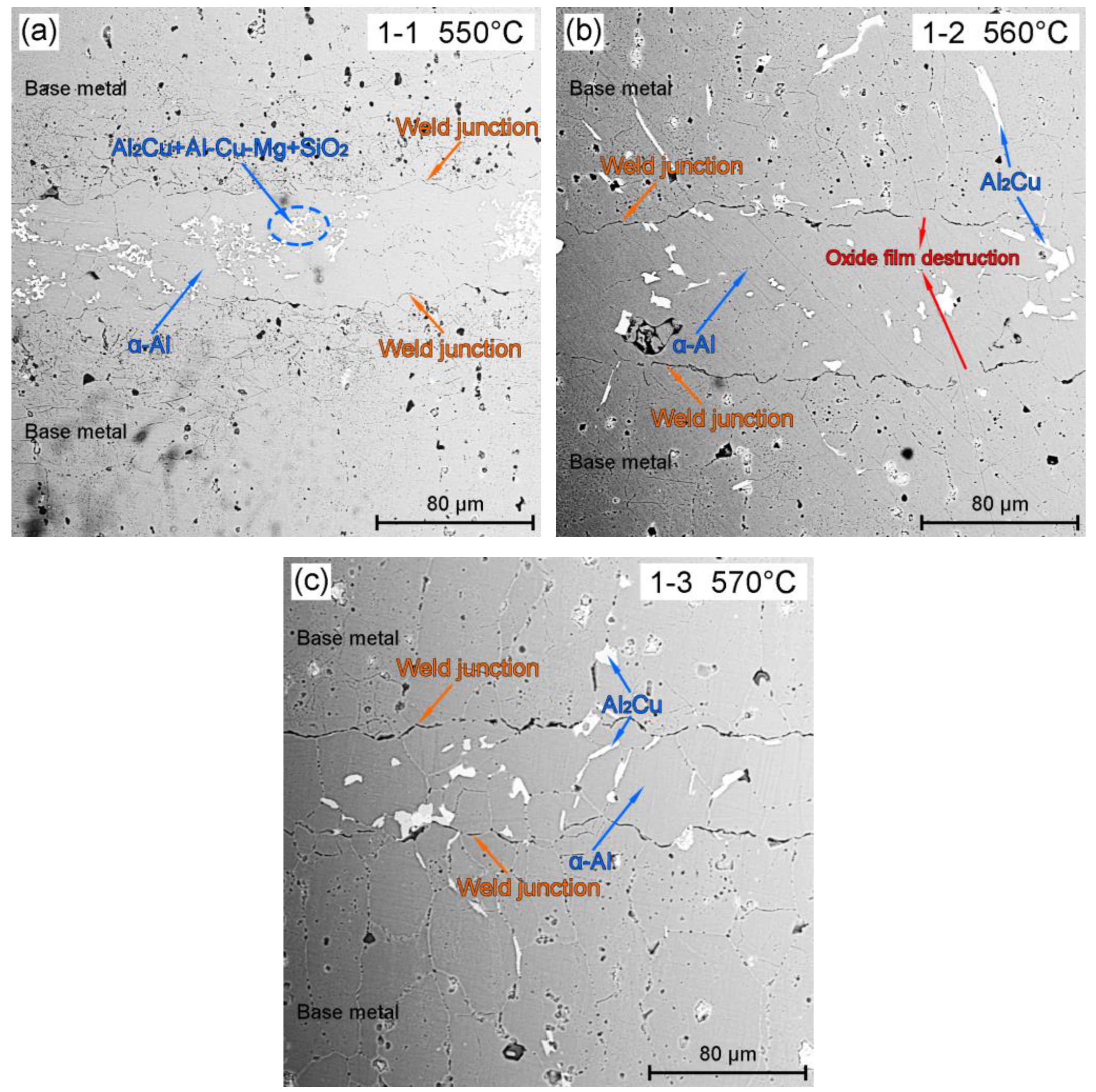 Metals 13 01048 g004 550