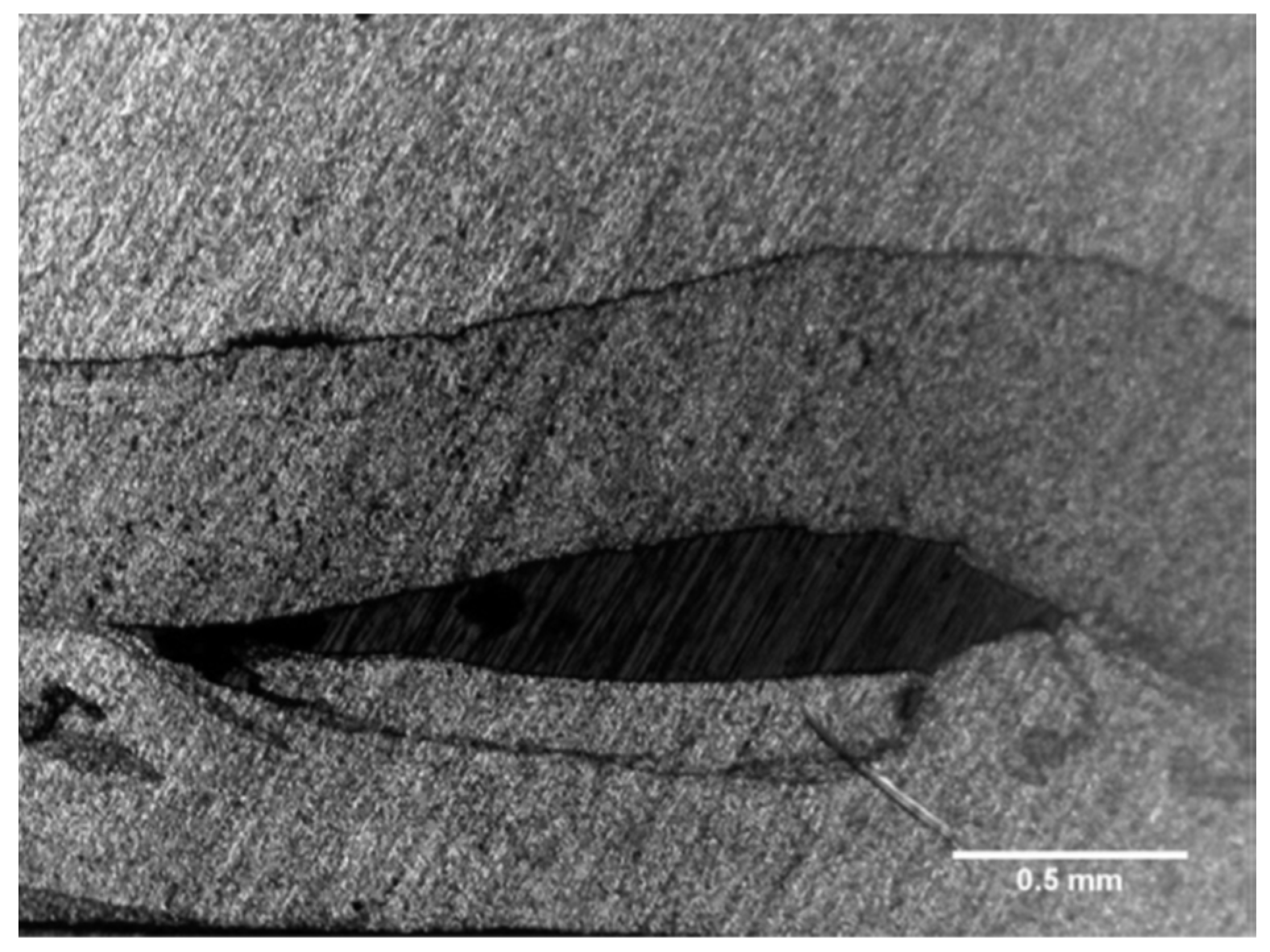 Metals 13 01055 g019