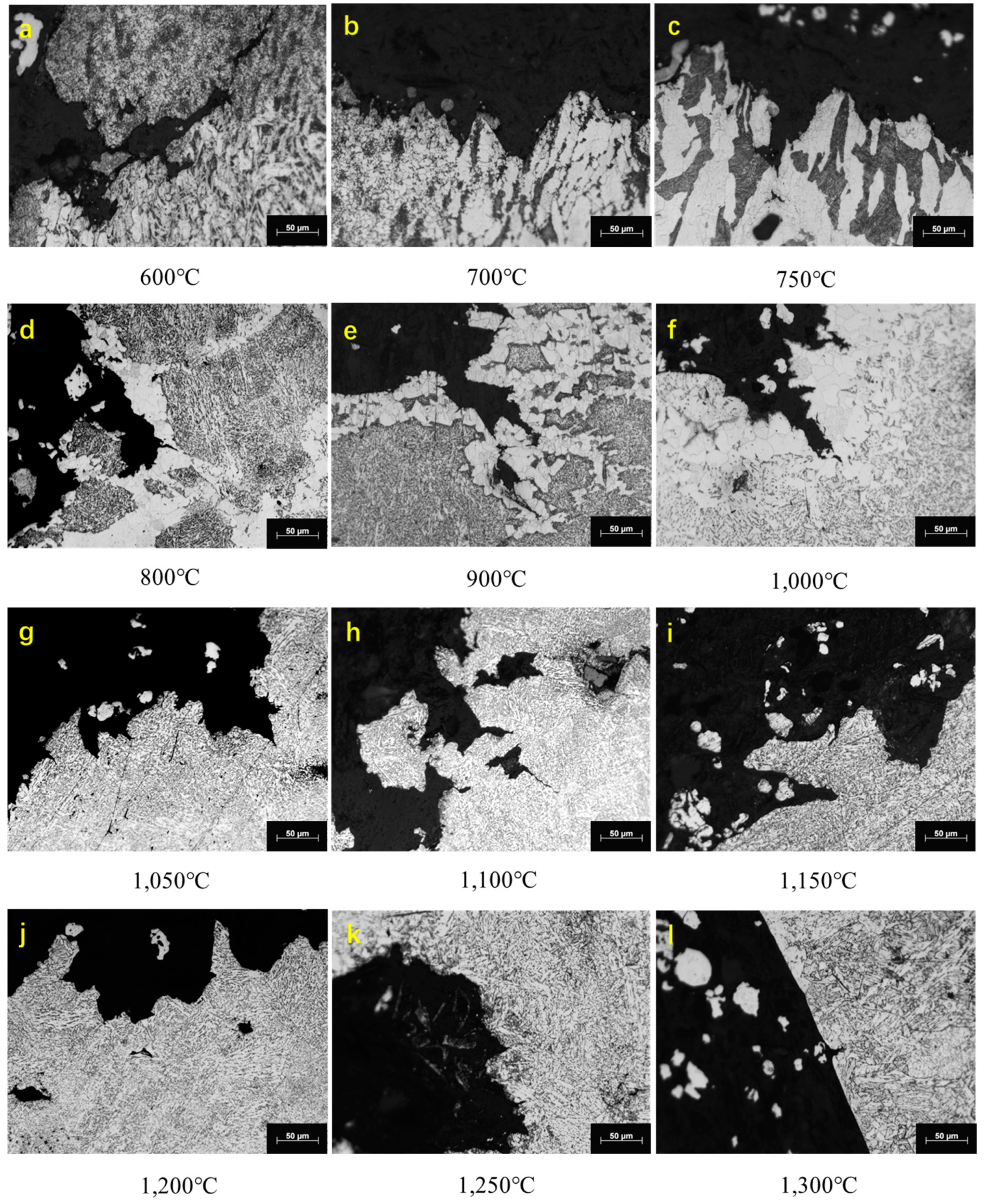 Metals 13 01058 g007