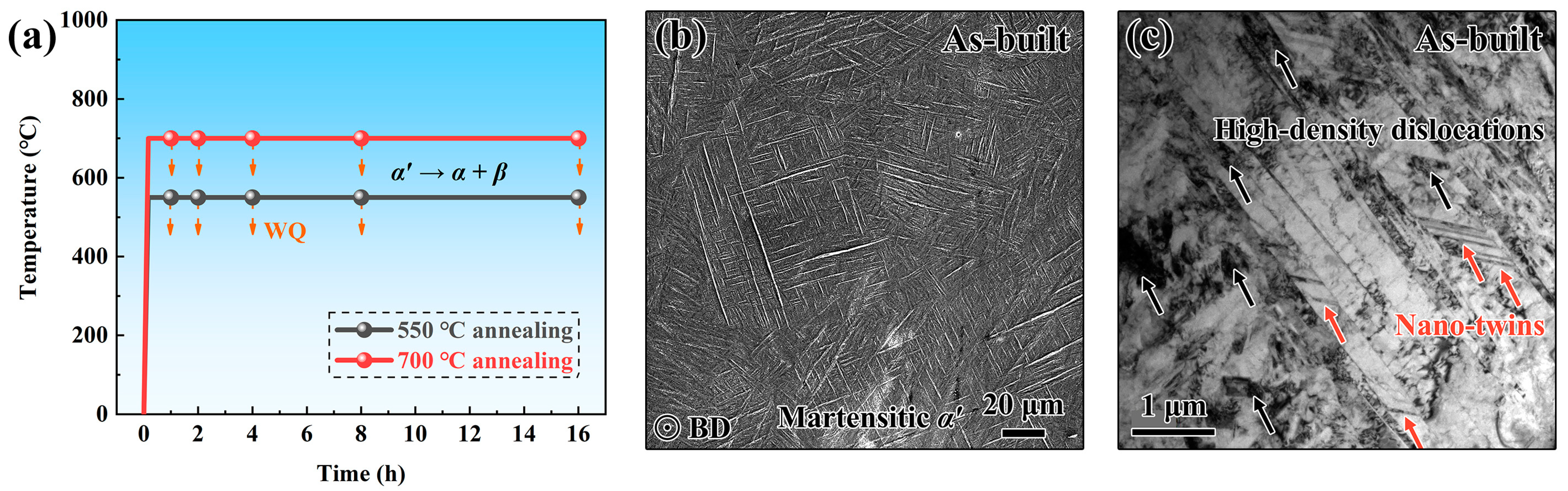 Metals 13 01061 g001 Metals 13 01061 g001