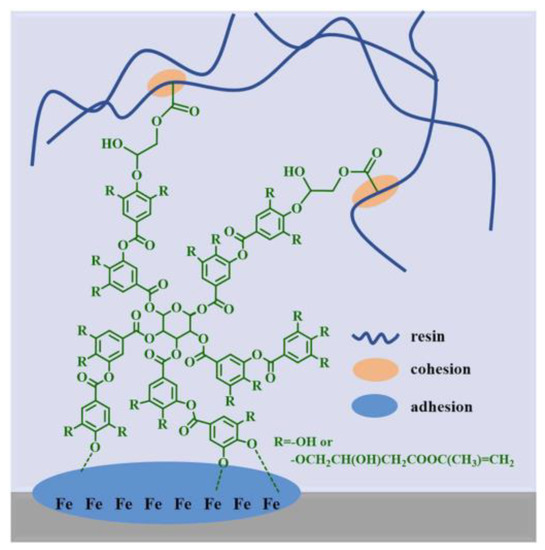 Natural Polyphenols and the Corrosion Protection of Steel: Recent ...