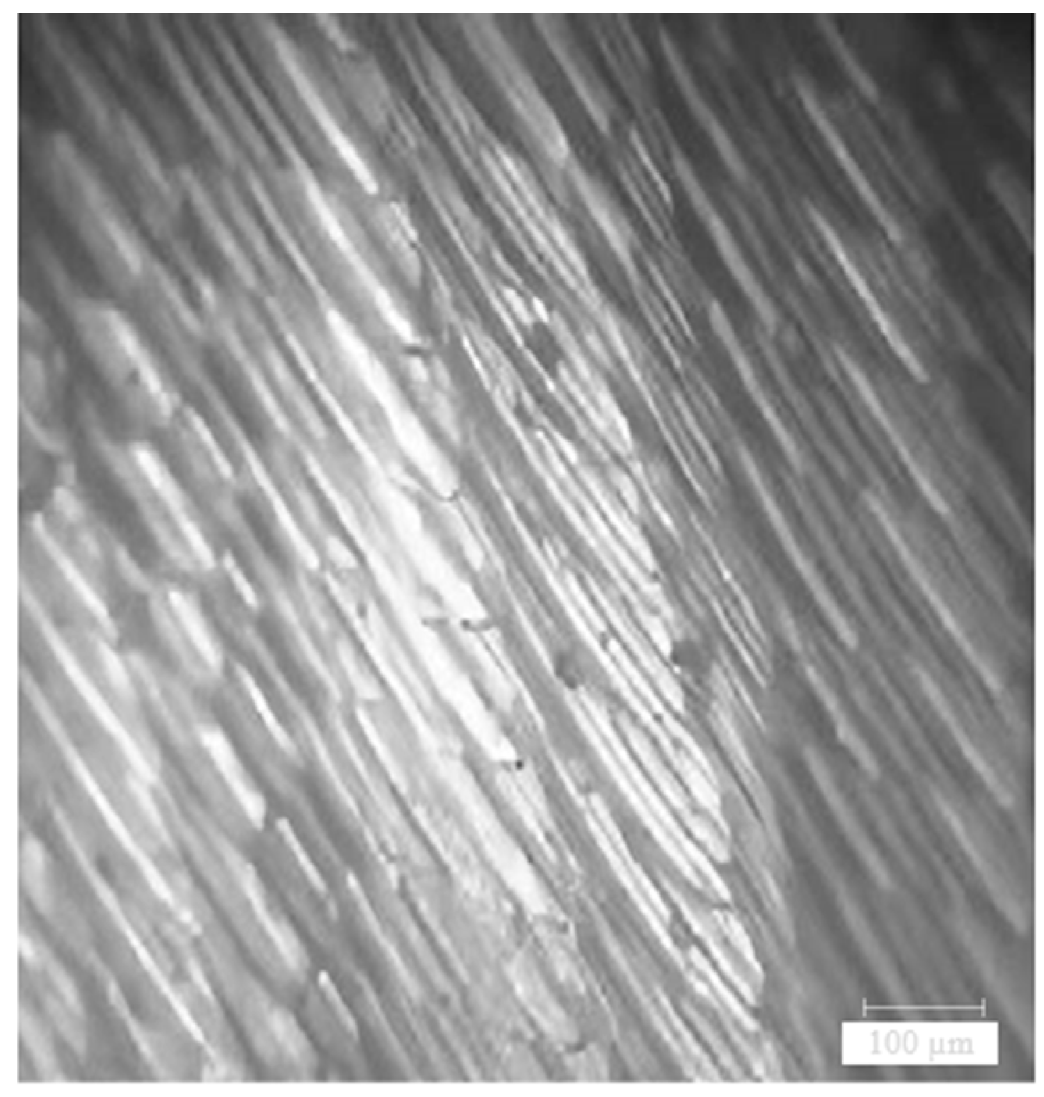 Metals 13 01085 g009