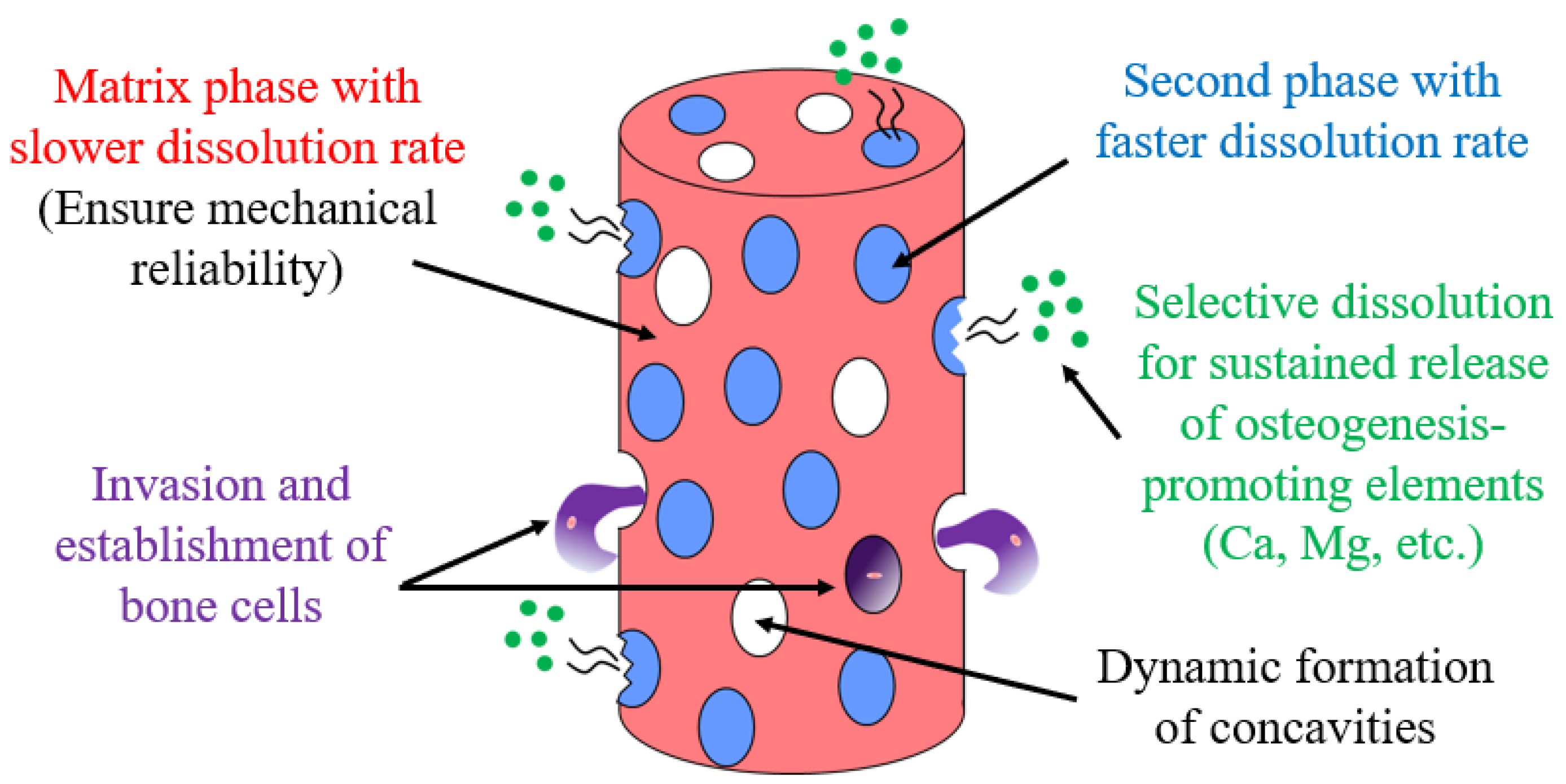 Metals 13 01095 g001