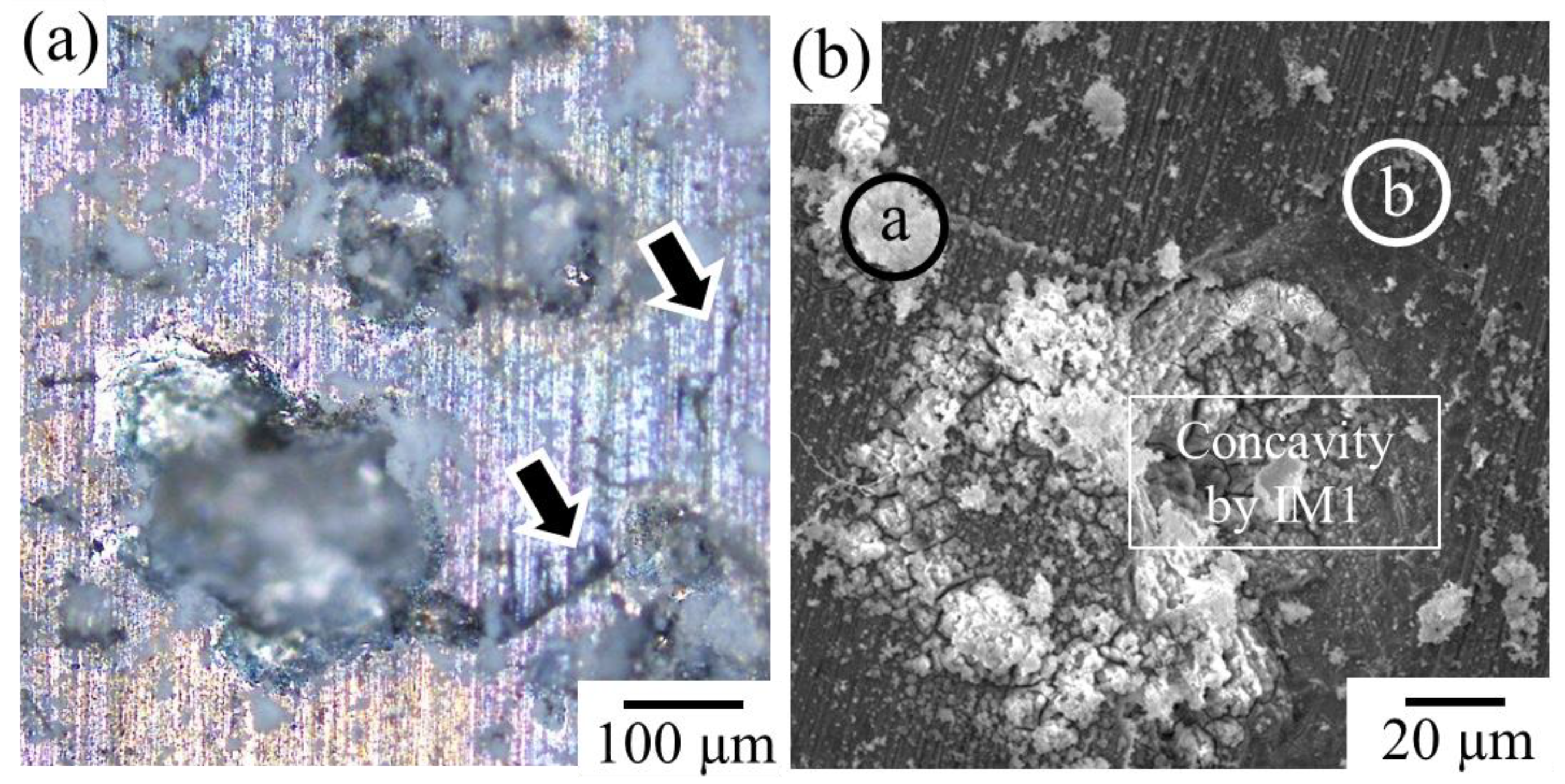 Metals 13 01095 g006