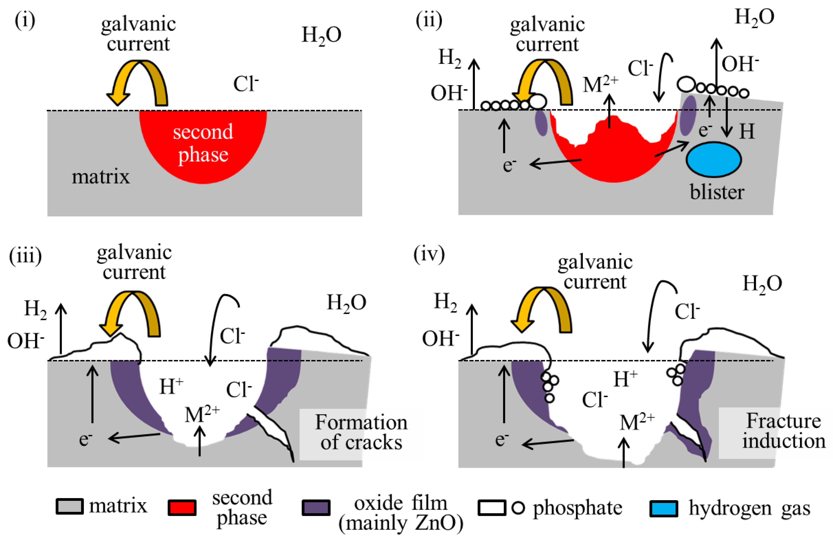 Metals 13 01095 g007
