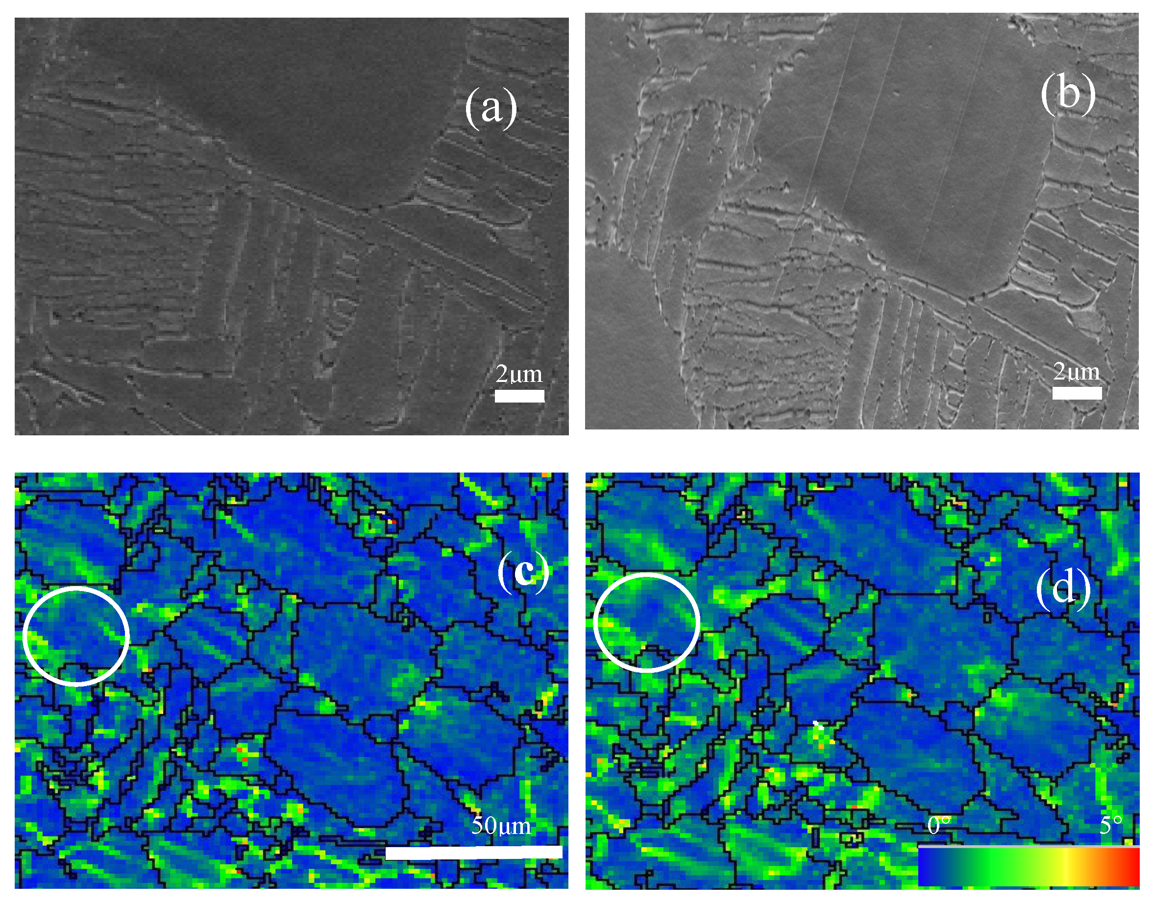 Metals 13 01149 g007