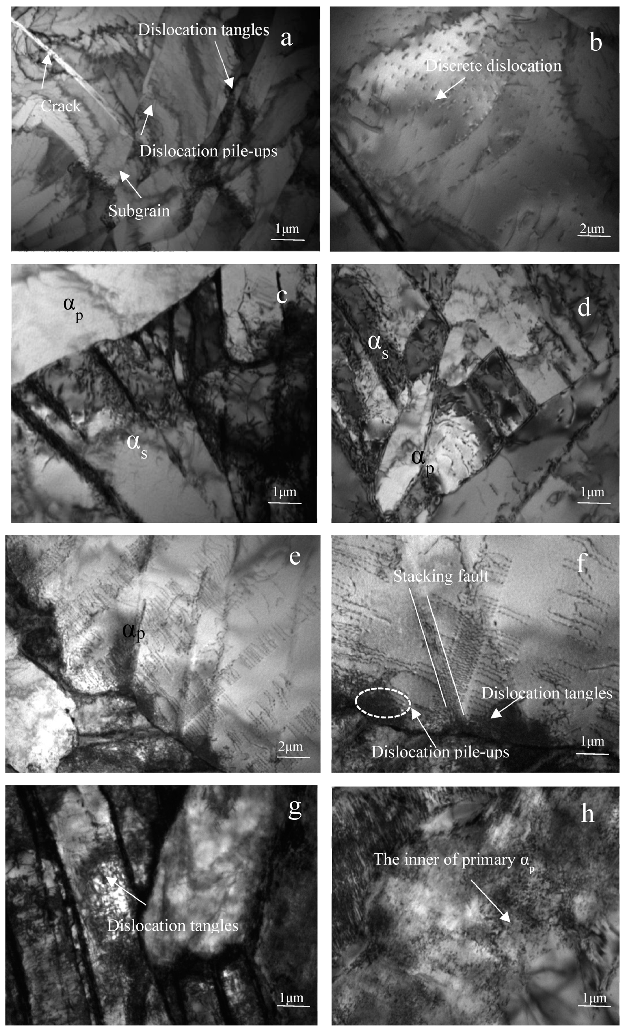 Metals 13 01149 g012