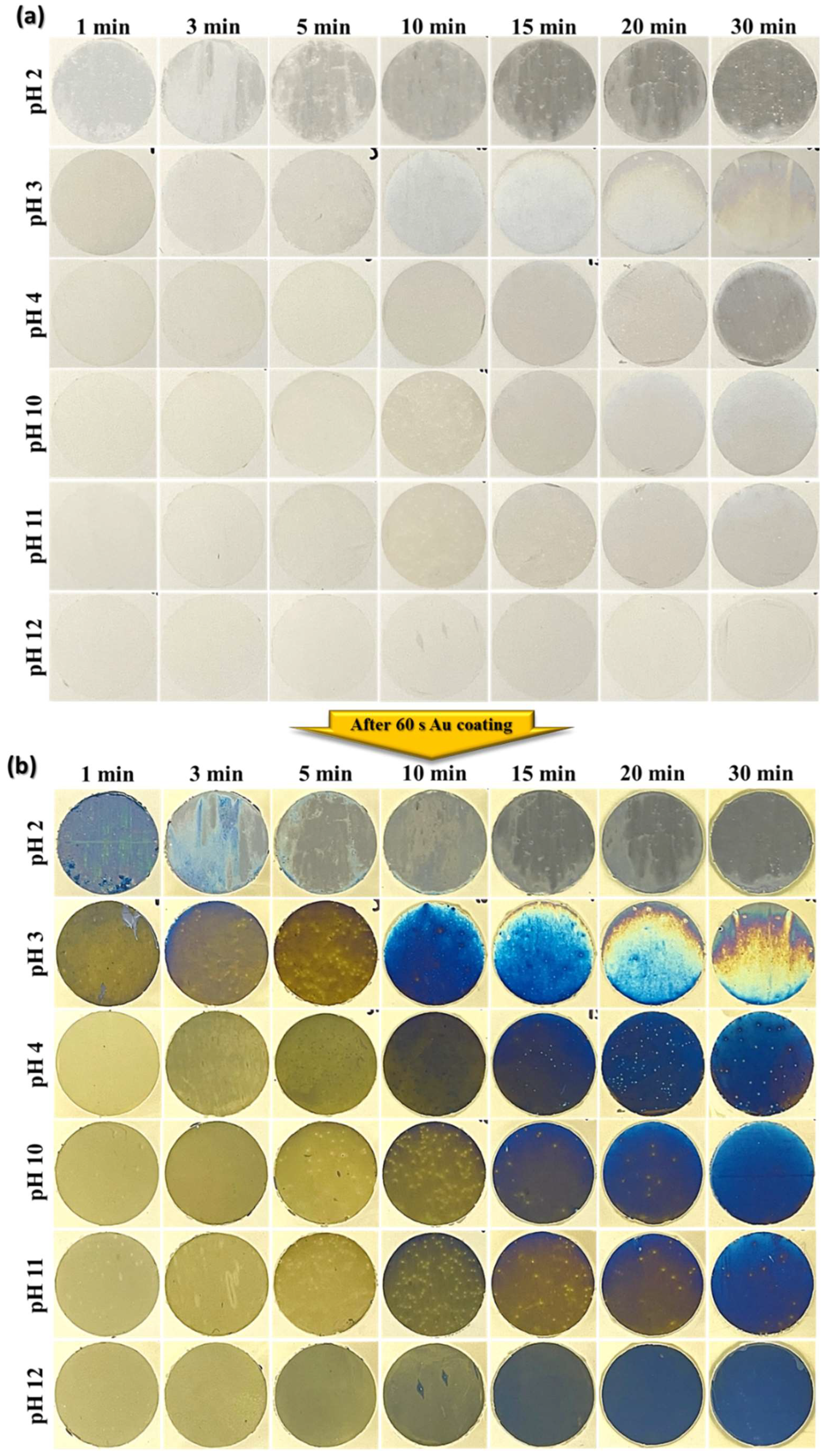 Metals 13 01150 g007 Metals 13 01150 g007