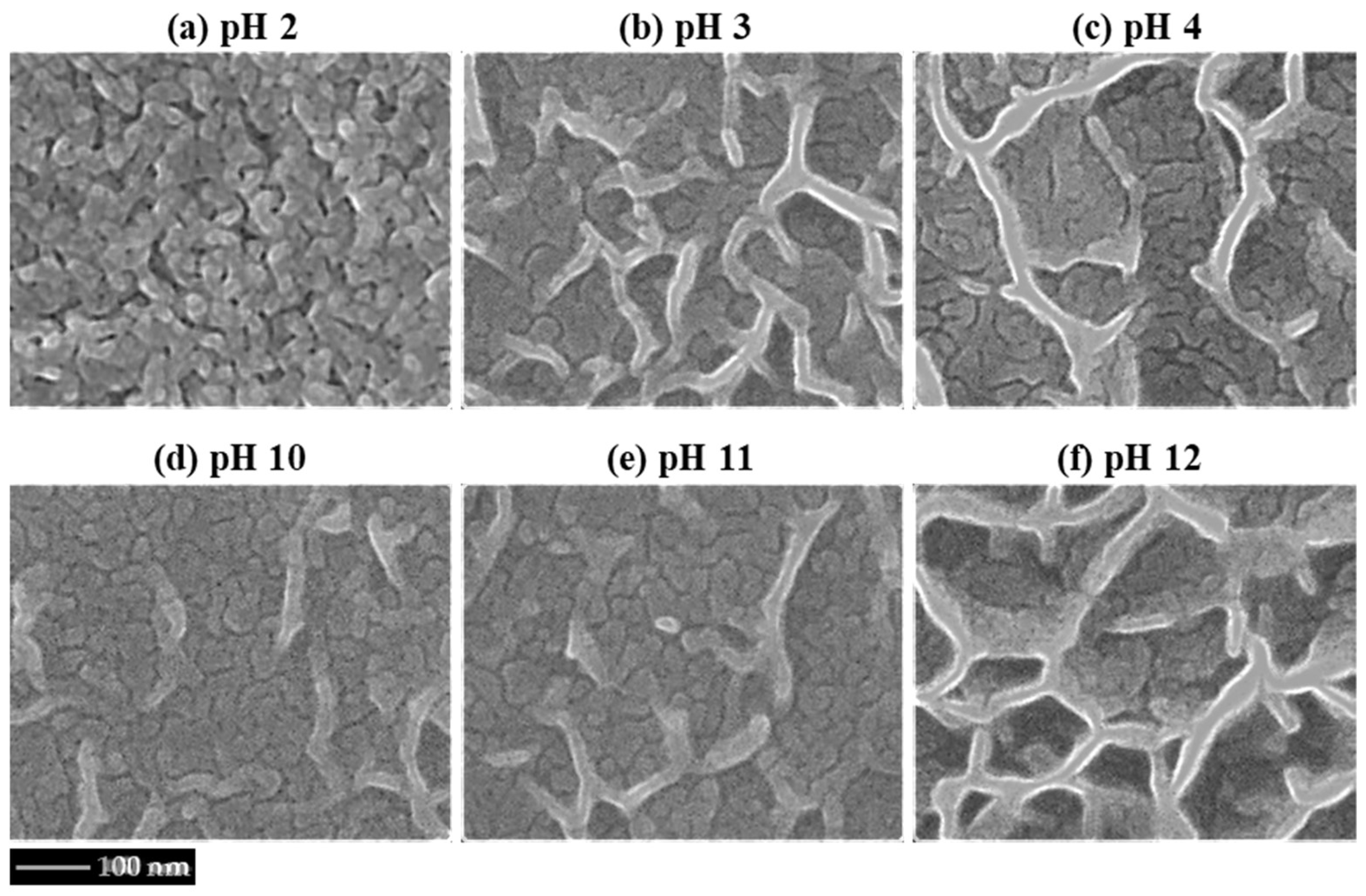 Metals 13 01150 g009 Metals 13 01150 g009