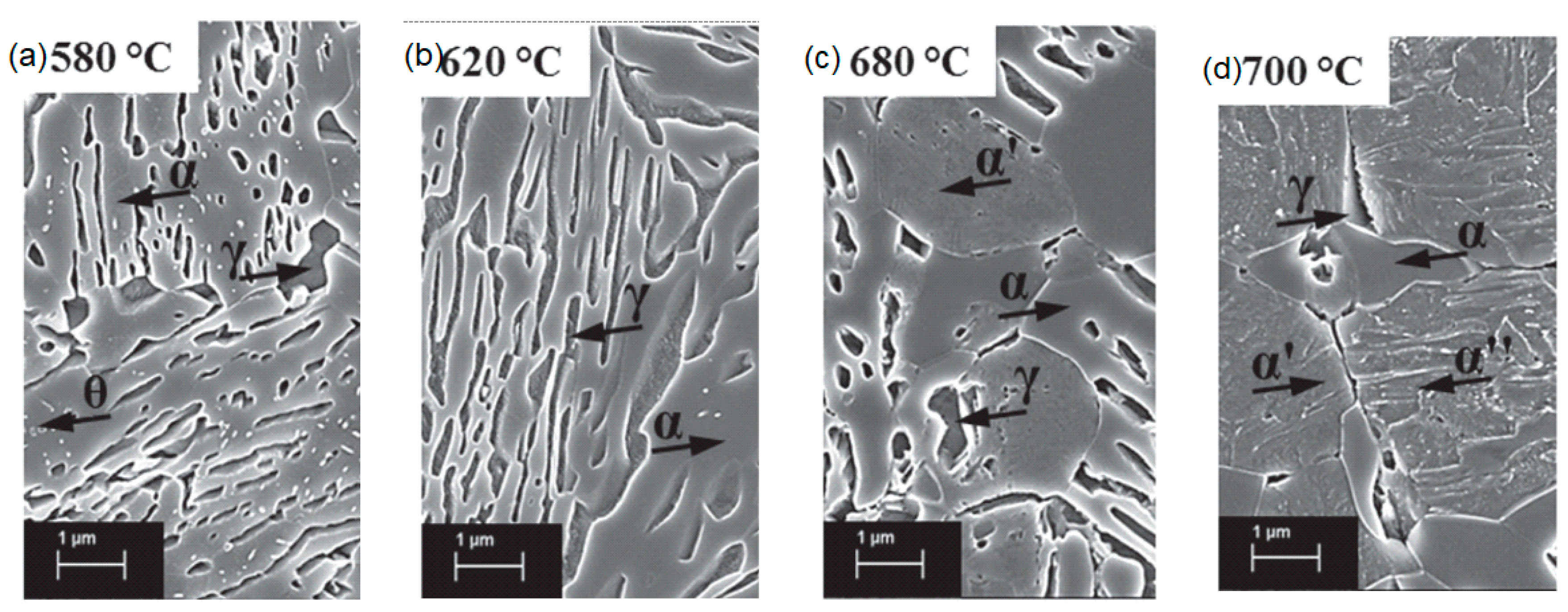 Metals 13 01152 g021