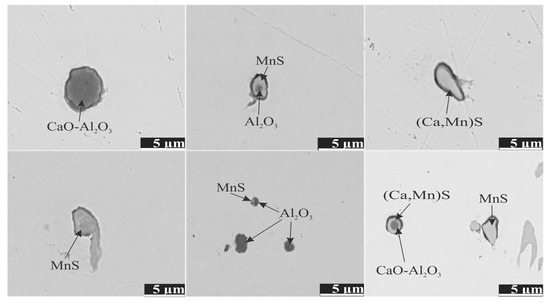 Formation and Modification of Al2O3 and MnS Inclusions in Al-Killed ...
