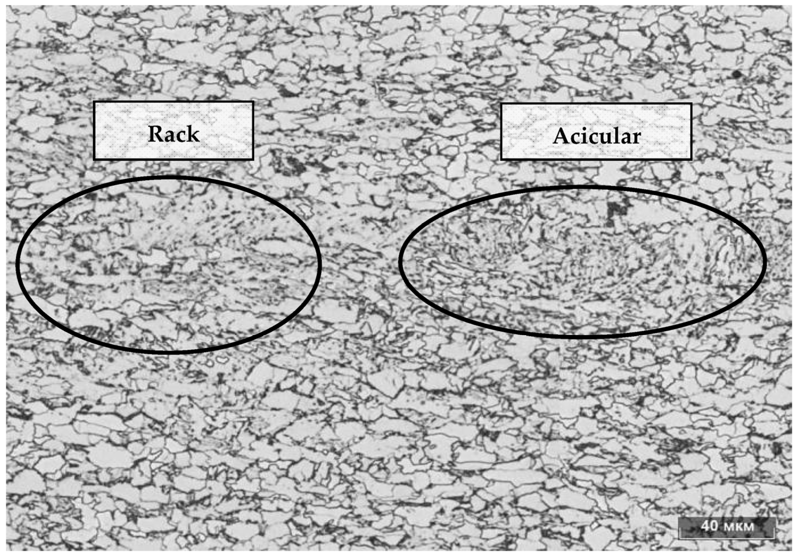 Metals 13 01157 g004