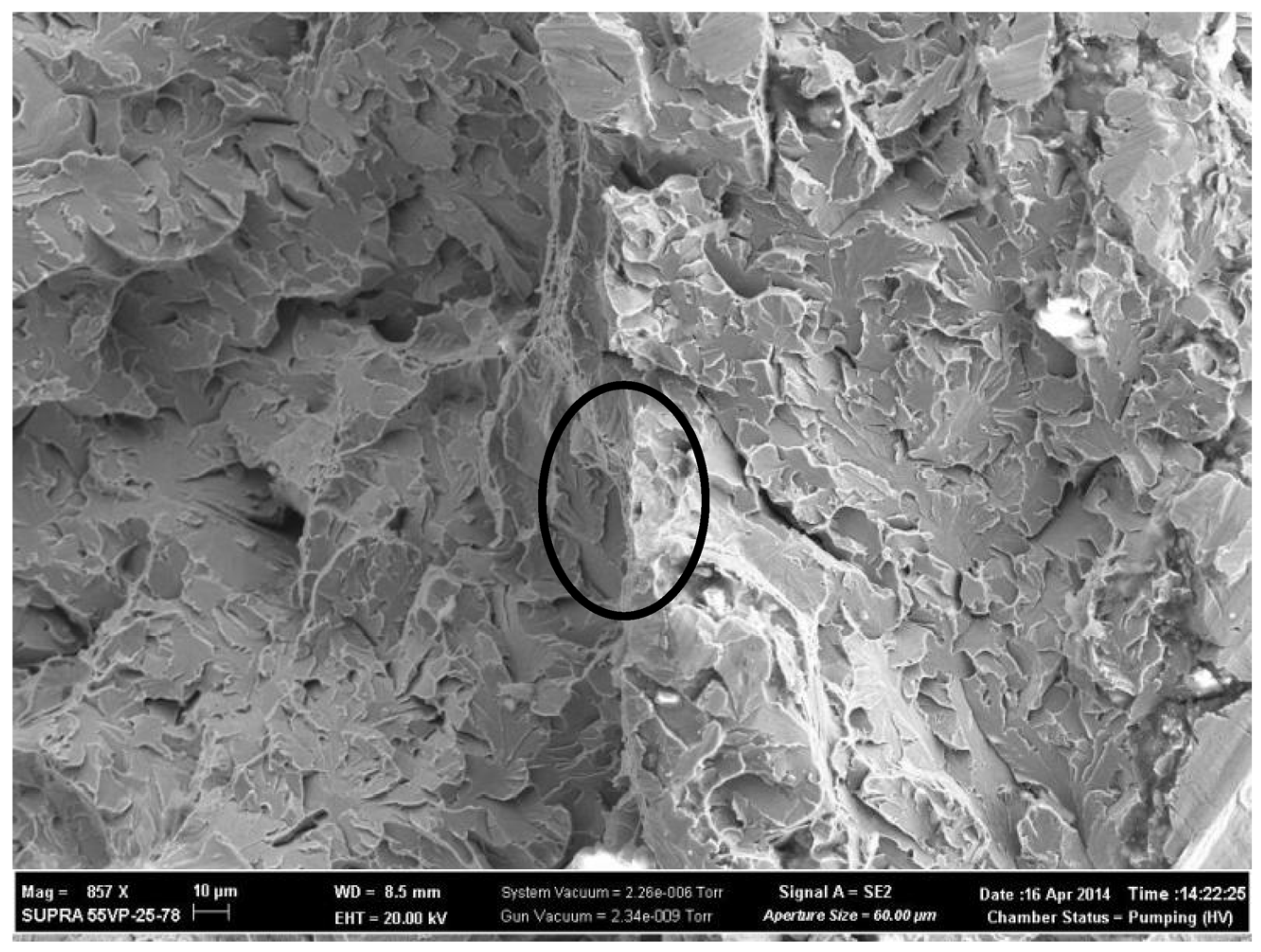 Metals 13 01157 g015