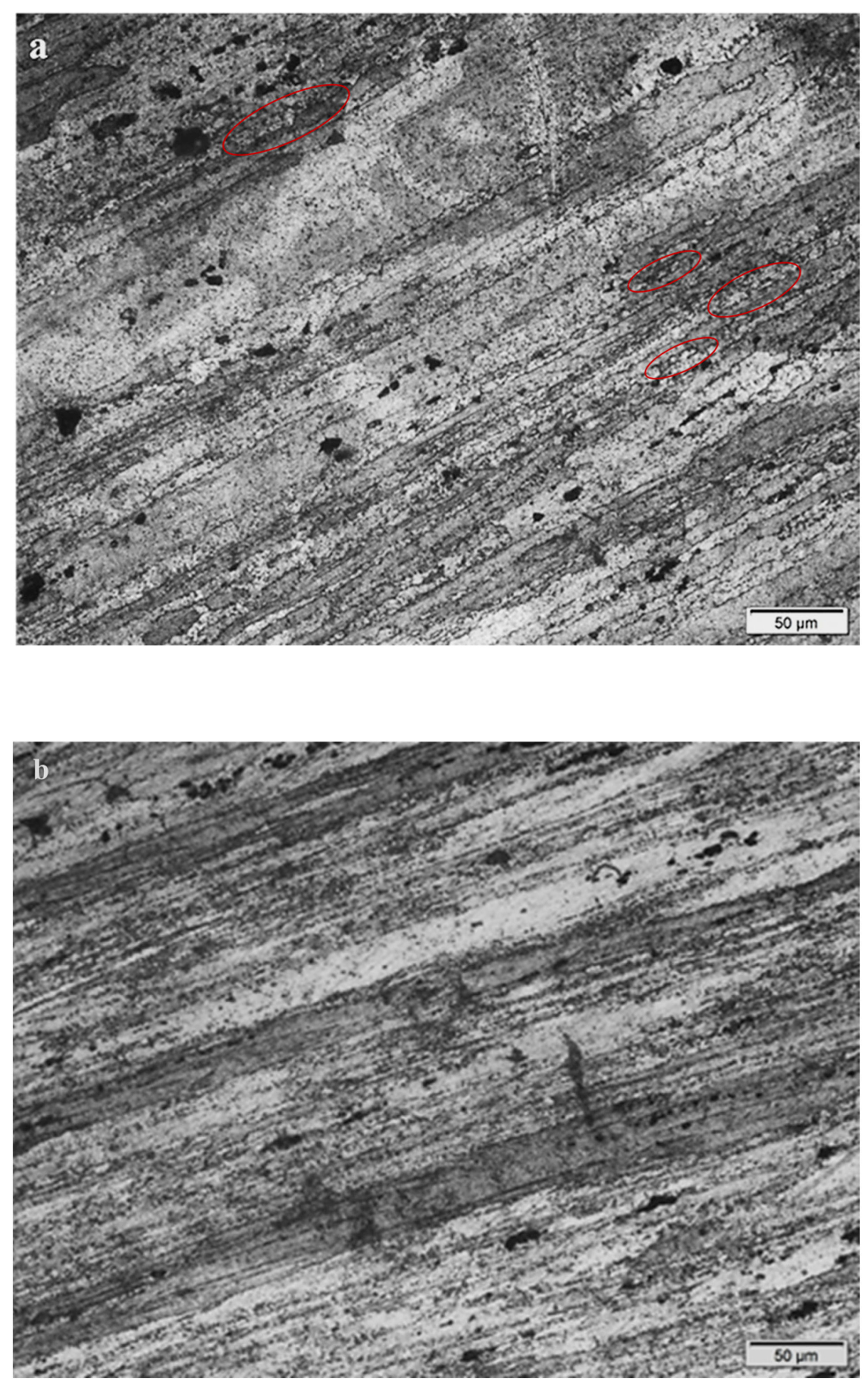 Metals 13 01158 g005a