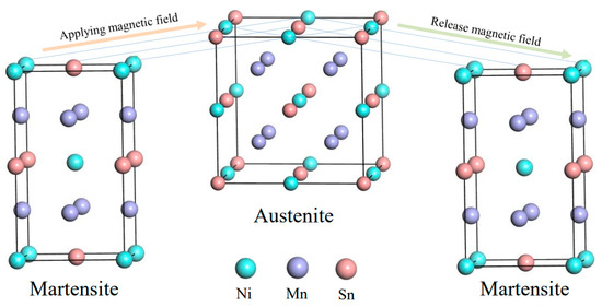 トランキュイル・モーメント ヘビーウエイトジグを使用した、バーチカルジギングで活躍