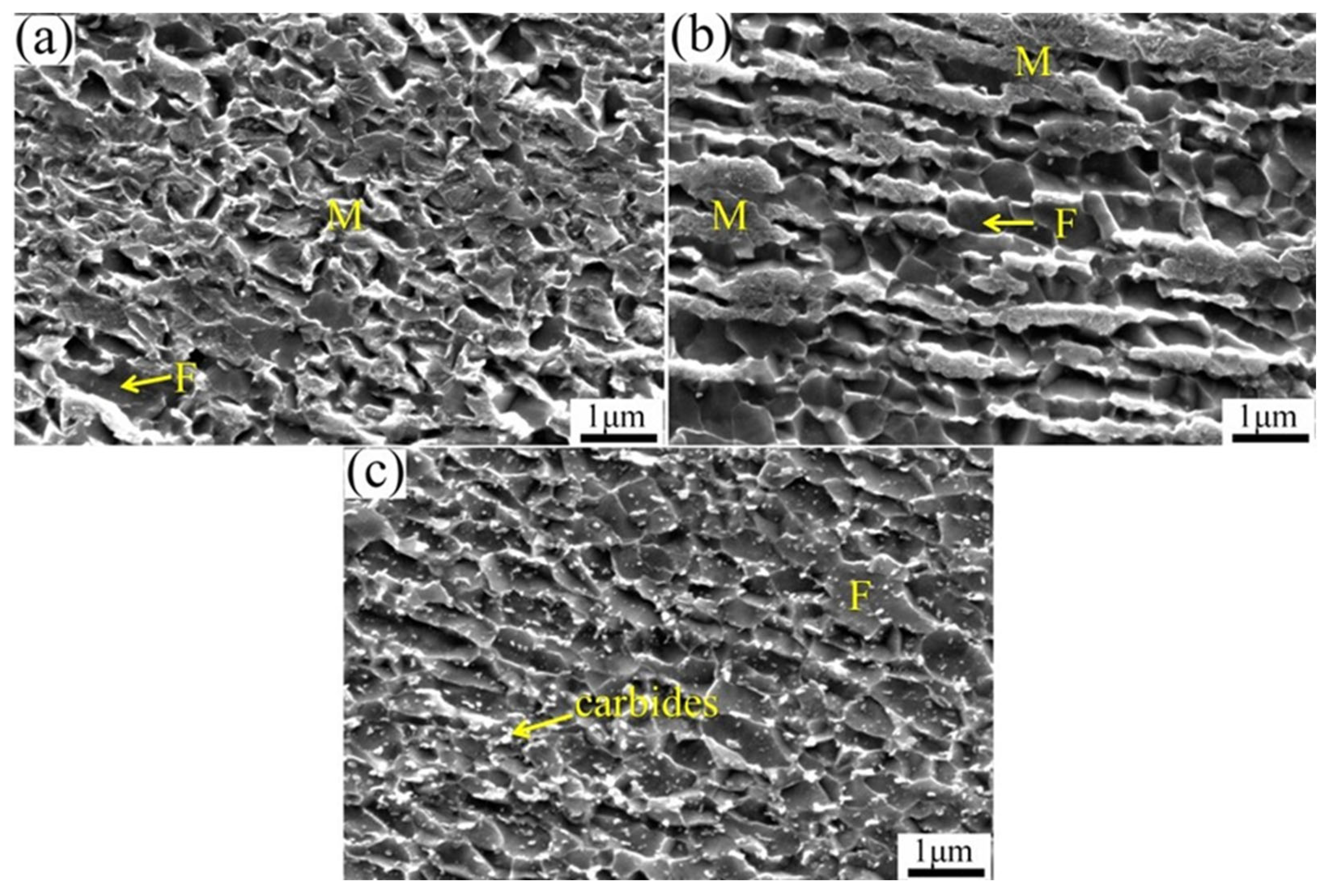 Metals 13 01164 g007