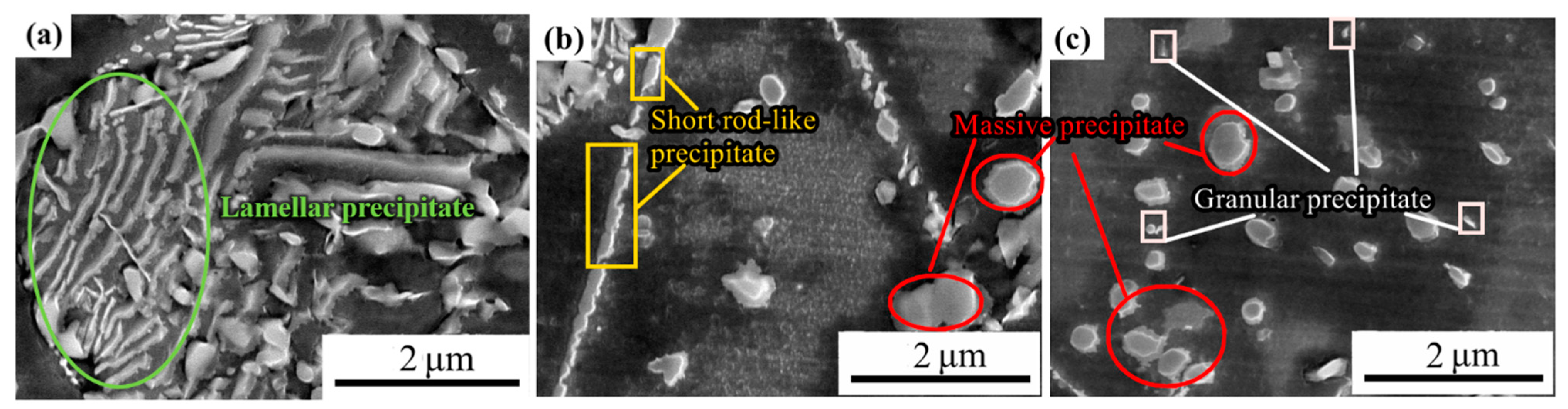 Metals 13 01183 g007 550