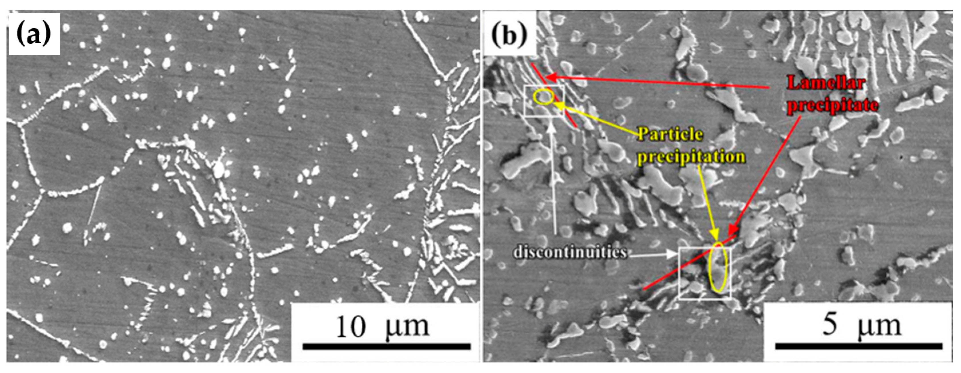 Metals 13 01183 g008 550