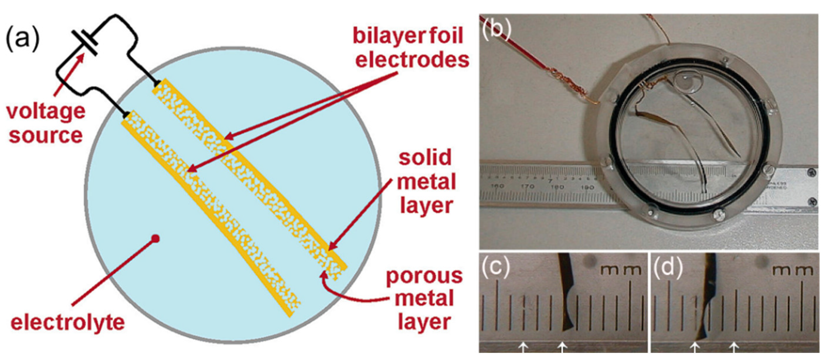 Metals 13 01198 g006 Metals 13 01198 g006