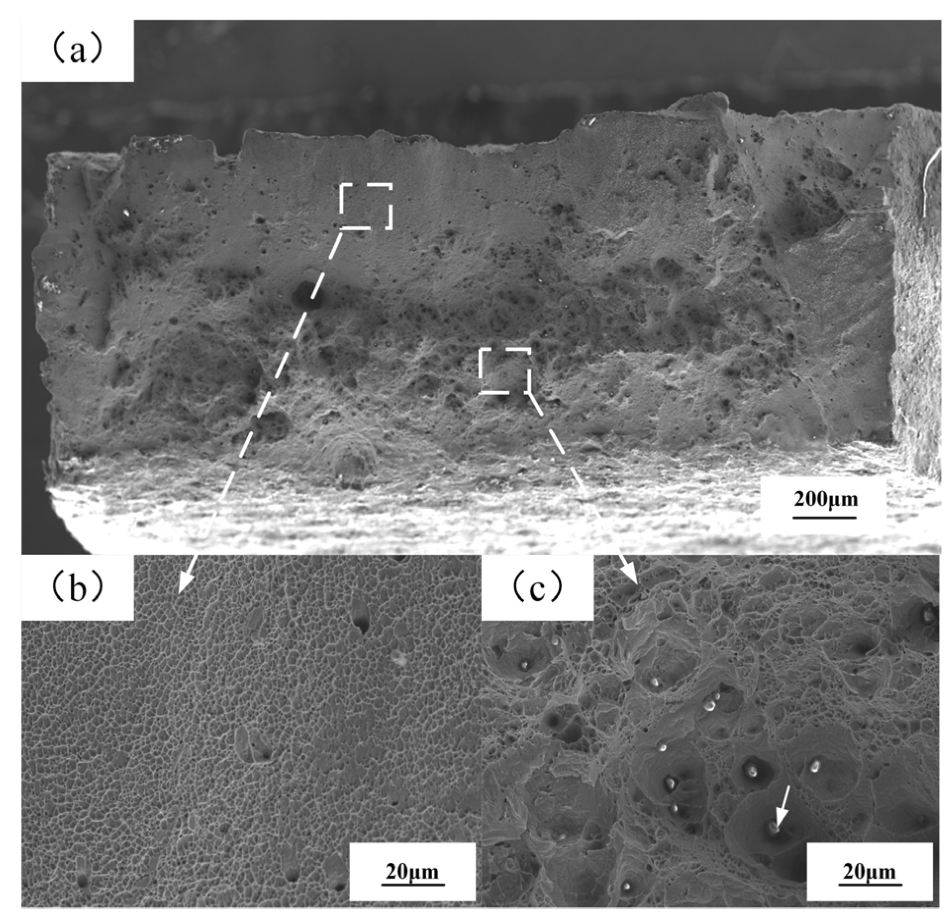 Metals 13 01200 g016 Metals 13 01200 g016