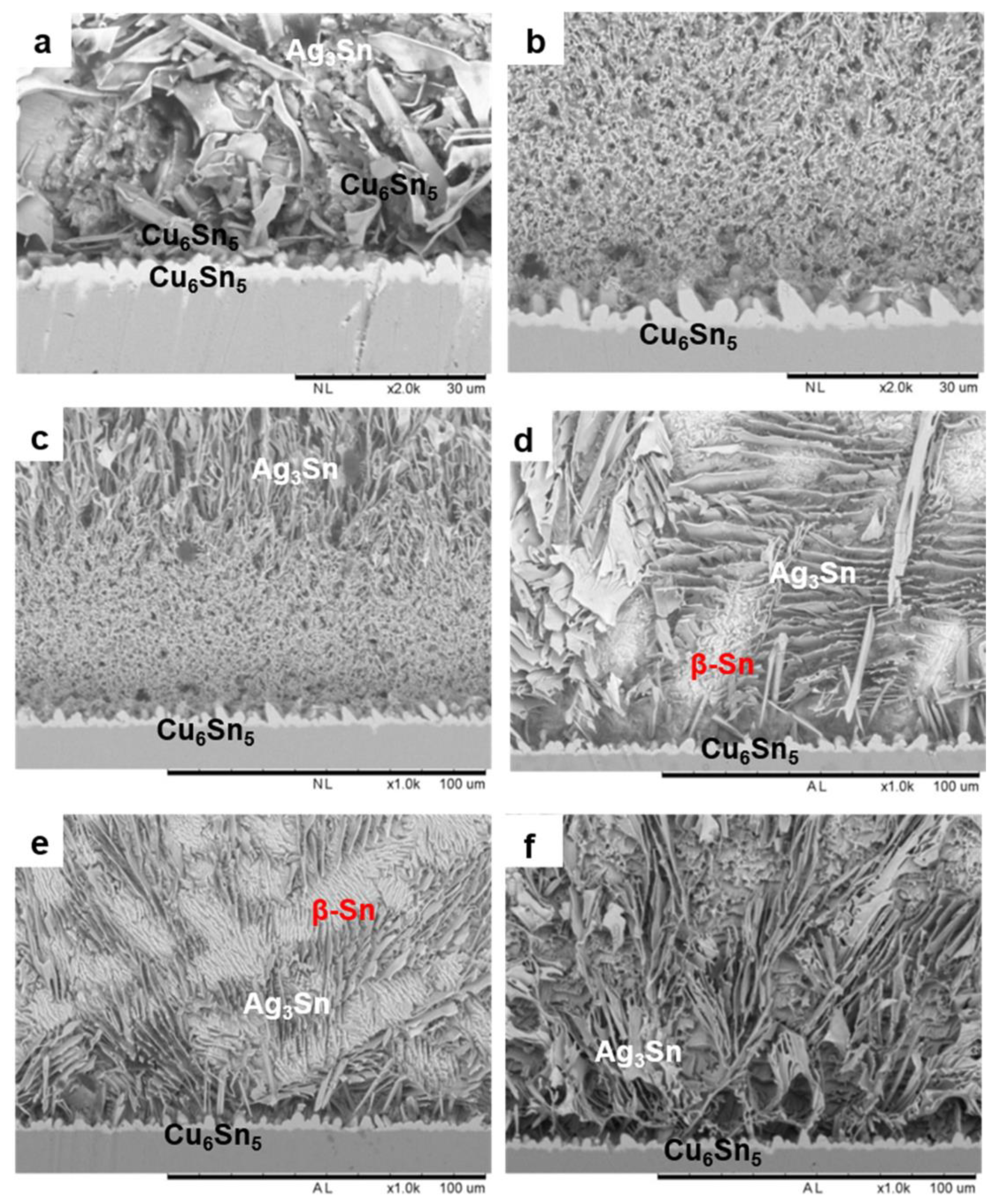 Metals 13 01209 g010 Metals 13 01209 g010