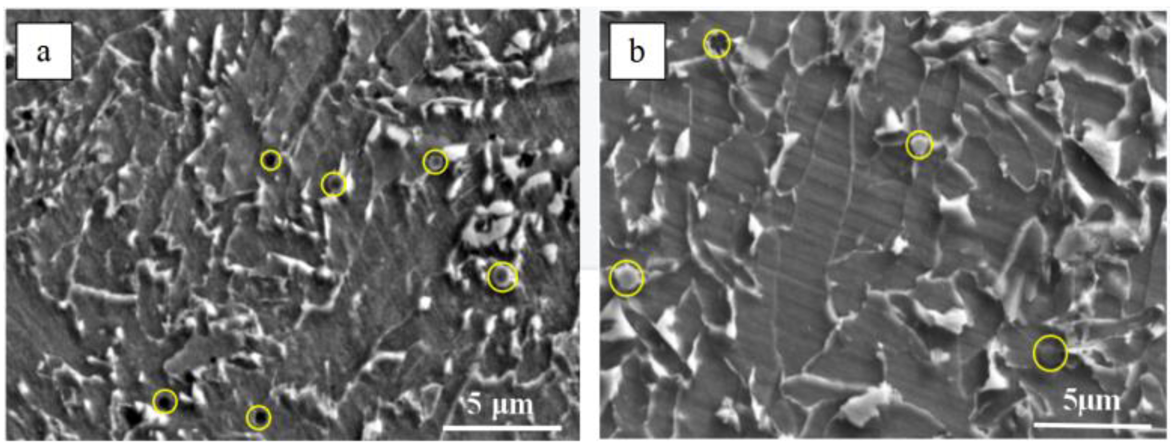 Metals 13 01217 g006