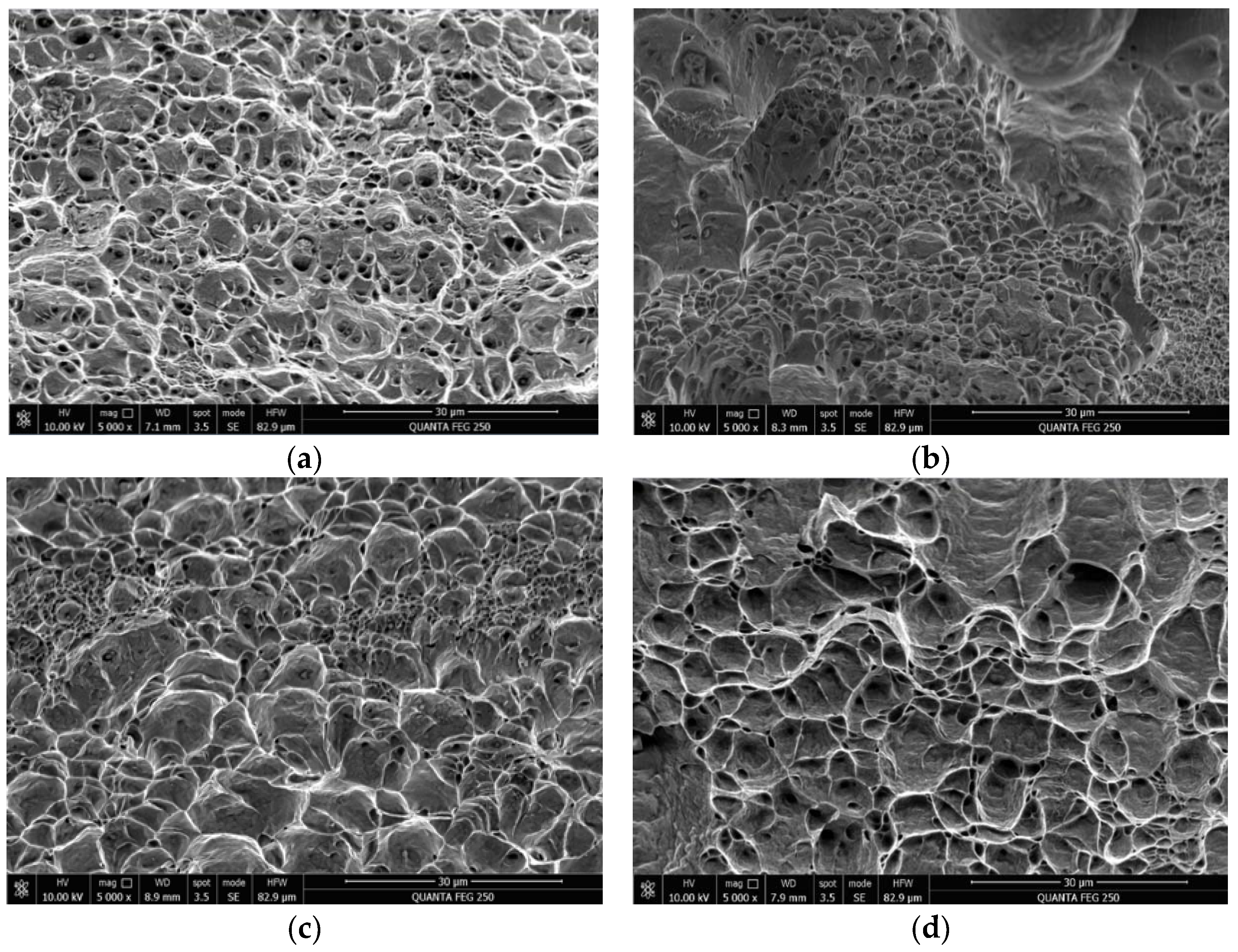 Metals 13 01224 g016