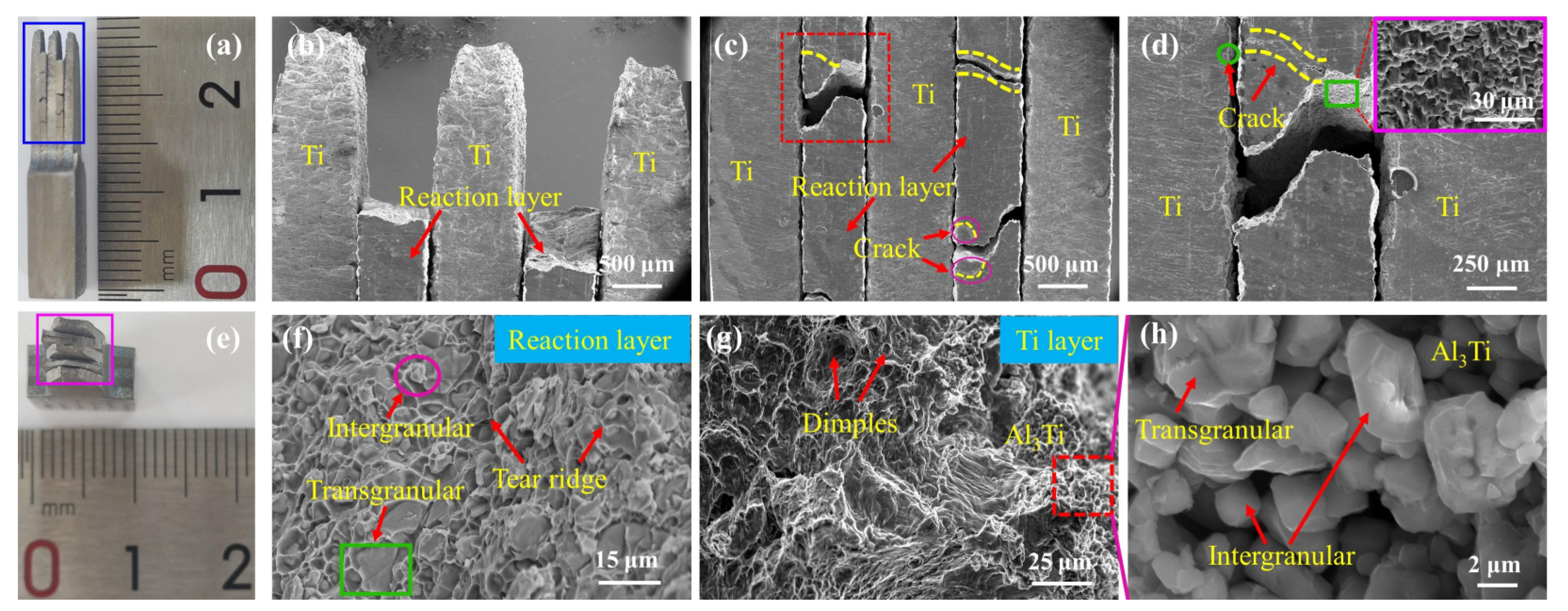 Metals 13 01227 g007 Metals 13 01227 g007