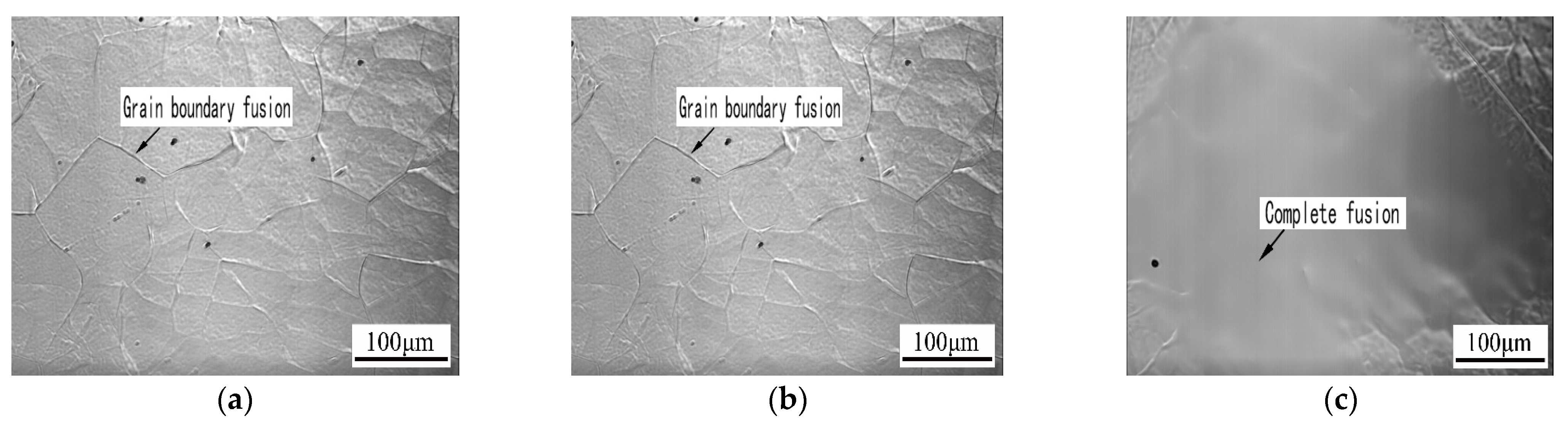 Metals 13 01228 g008 550