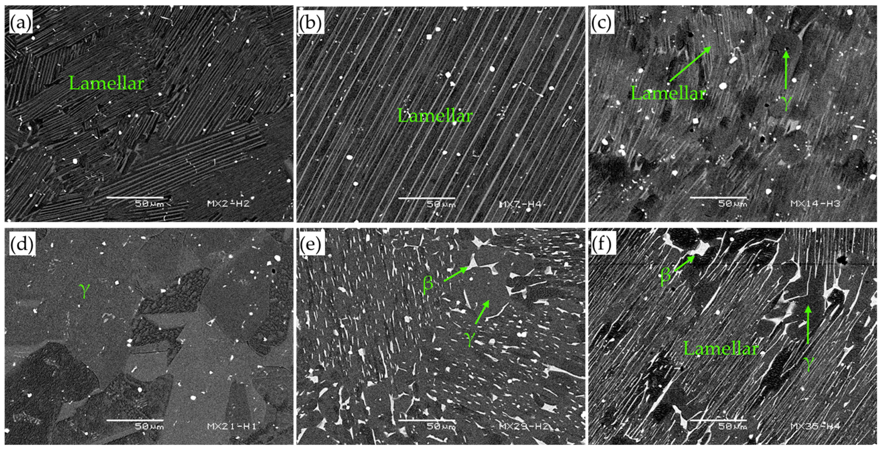 Metals 13 01235 g004