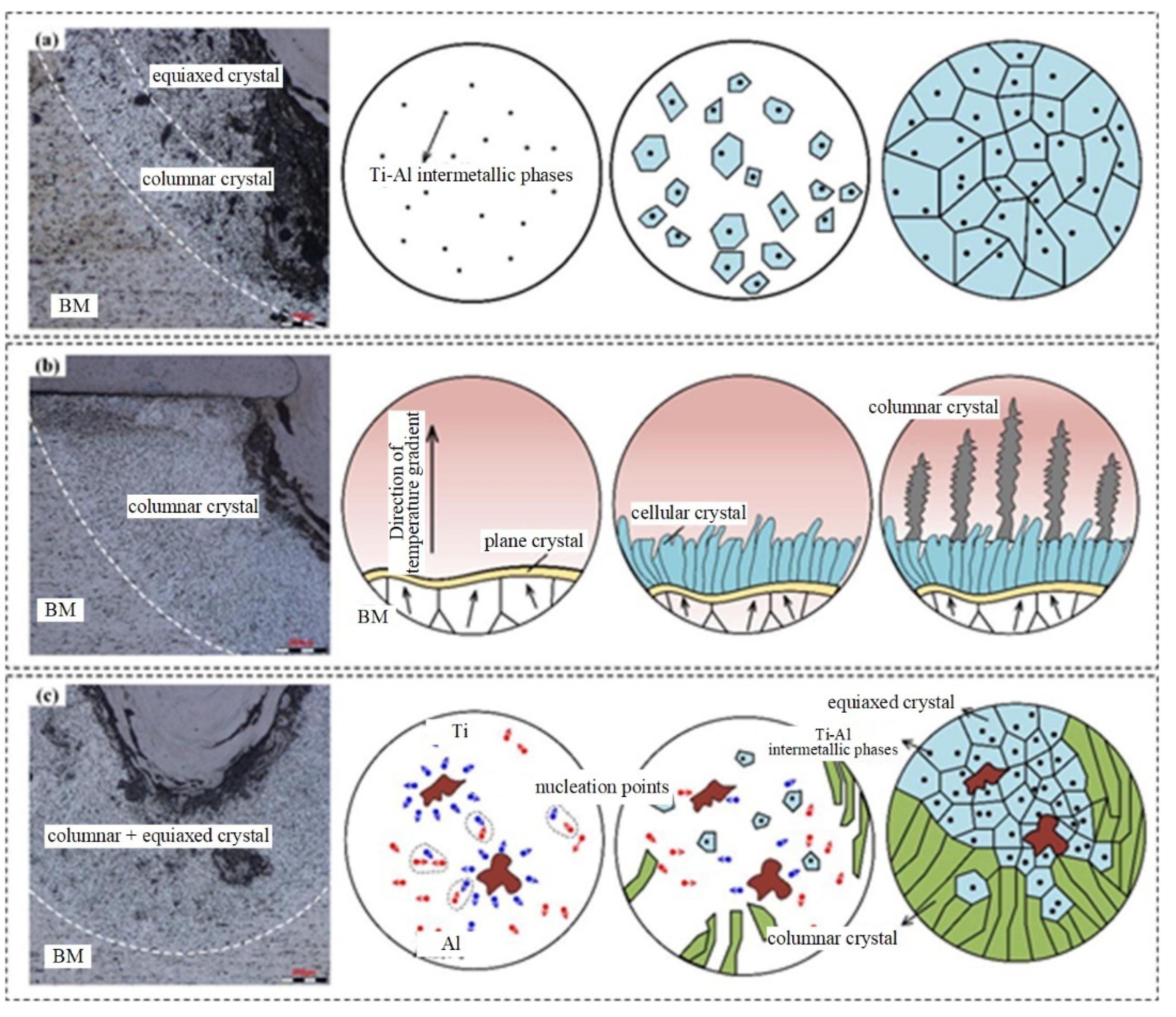 Metals 13 01257 g007