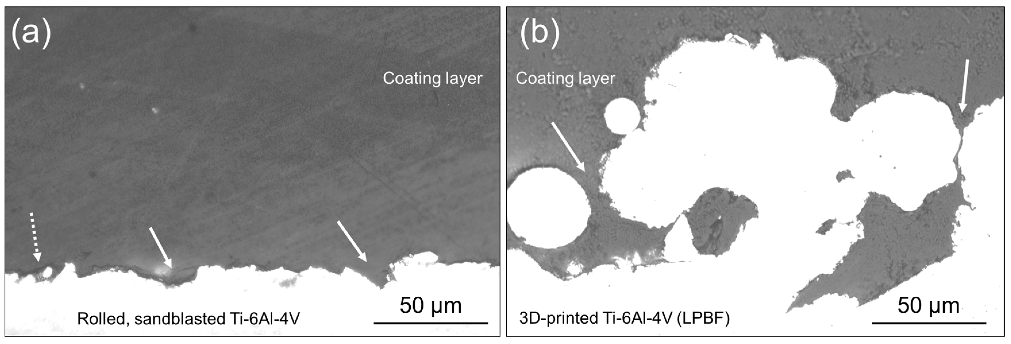 Metals 13 01262 g012
