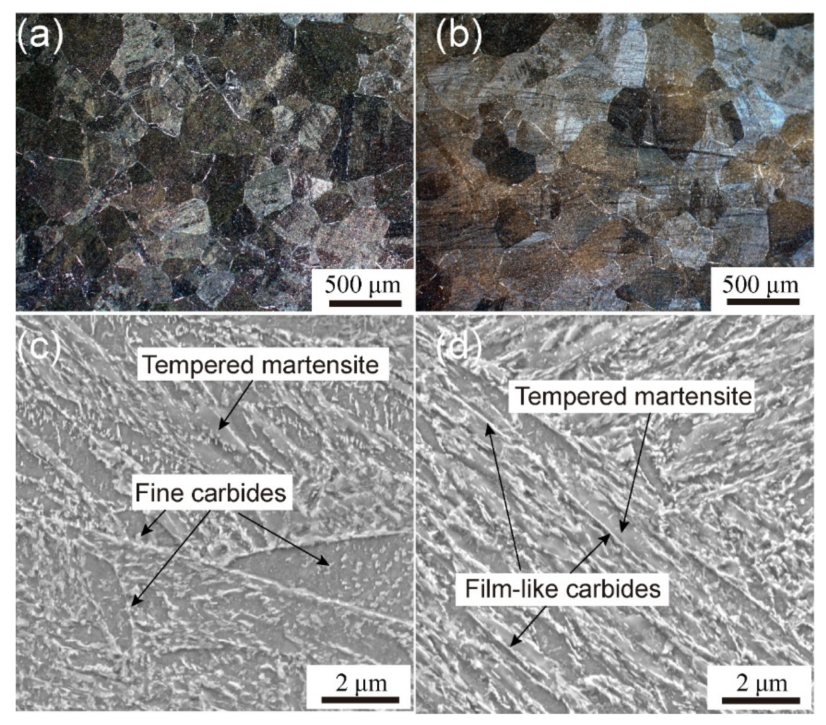 Metals 13 01263 g008