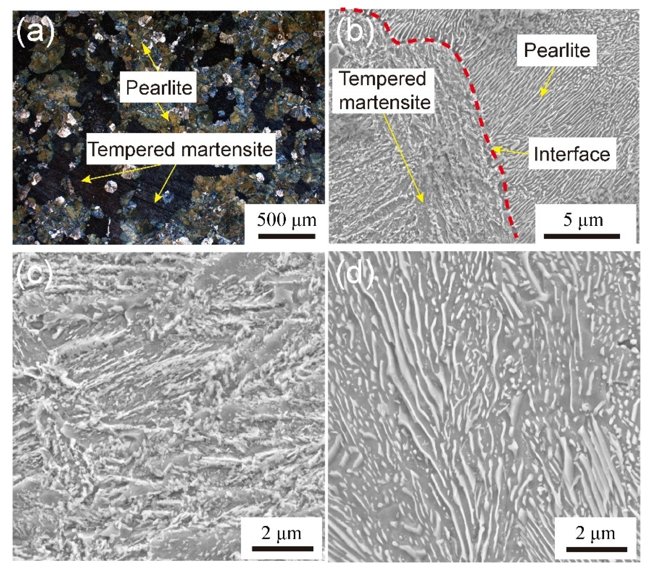 Metals 13 01263 g010