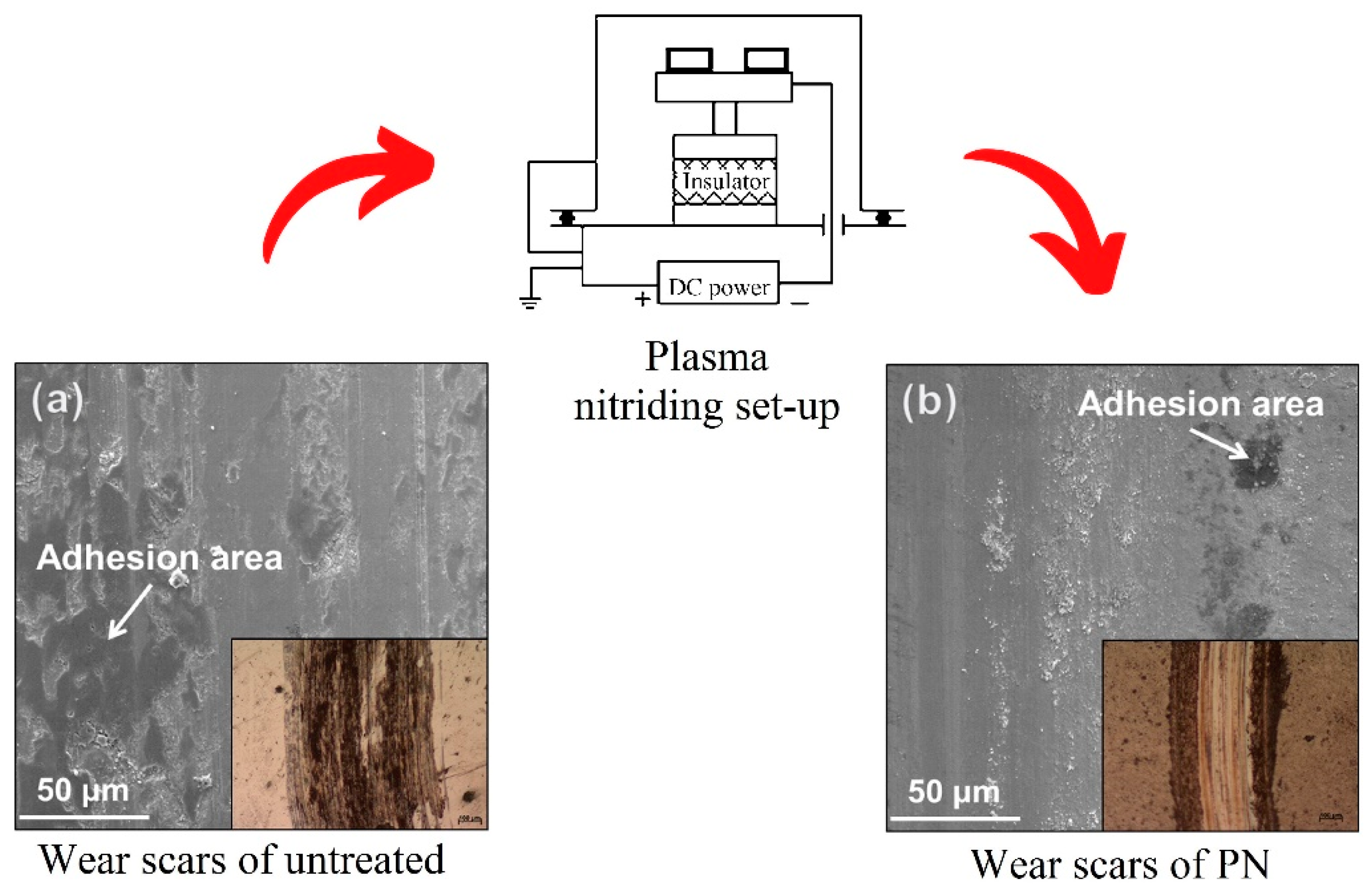 Metals 13 01268 g006