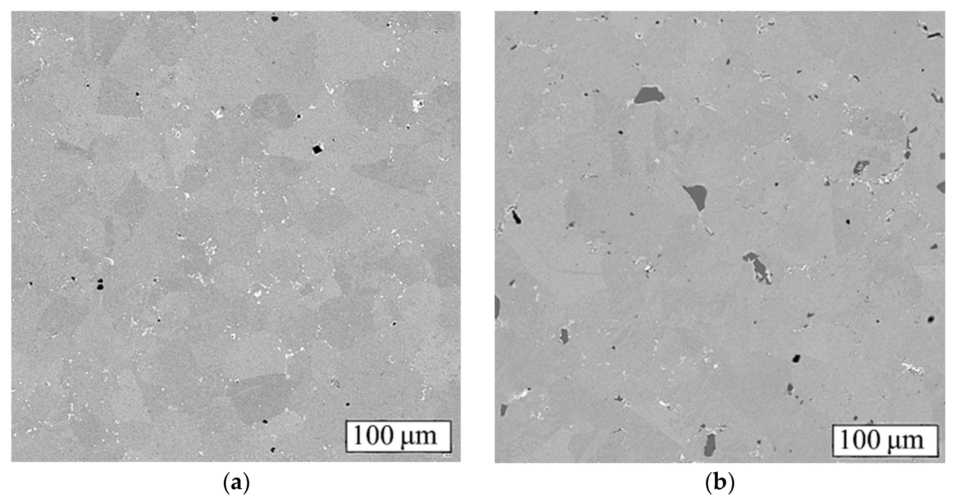 Metals 13 01271 g013a 550