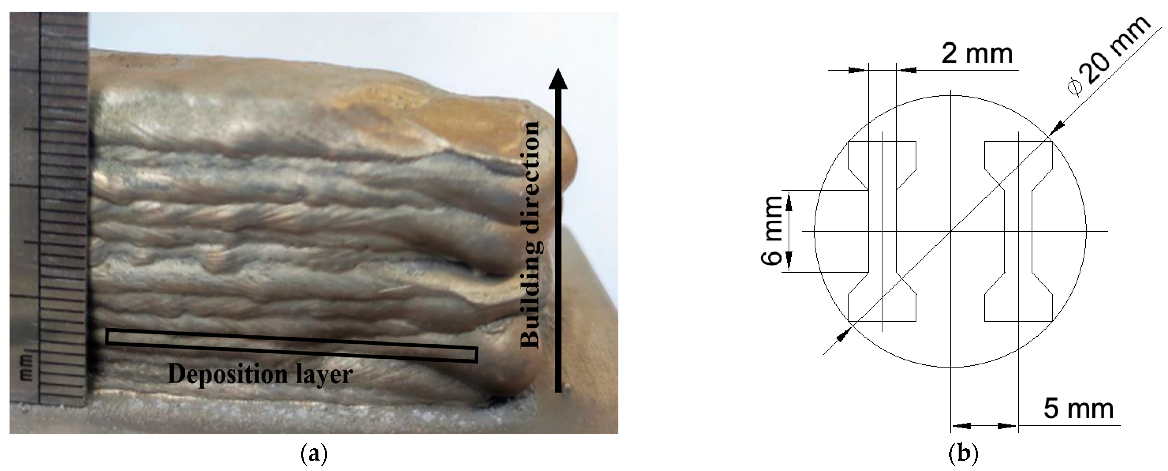 Metals 13 01281 g002