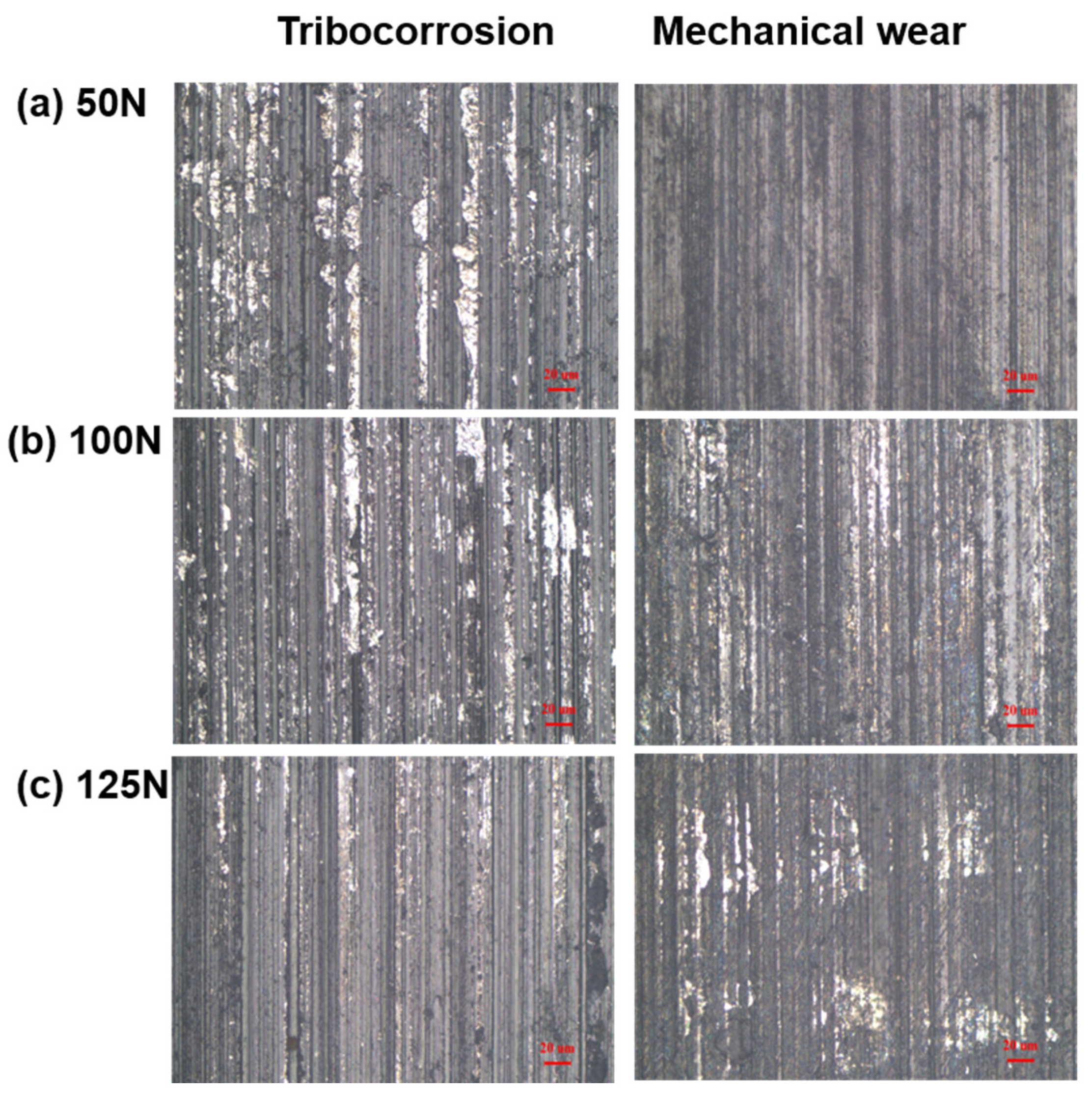 Metals 13 01287 g007