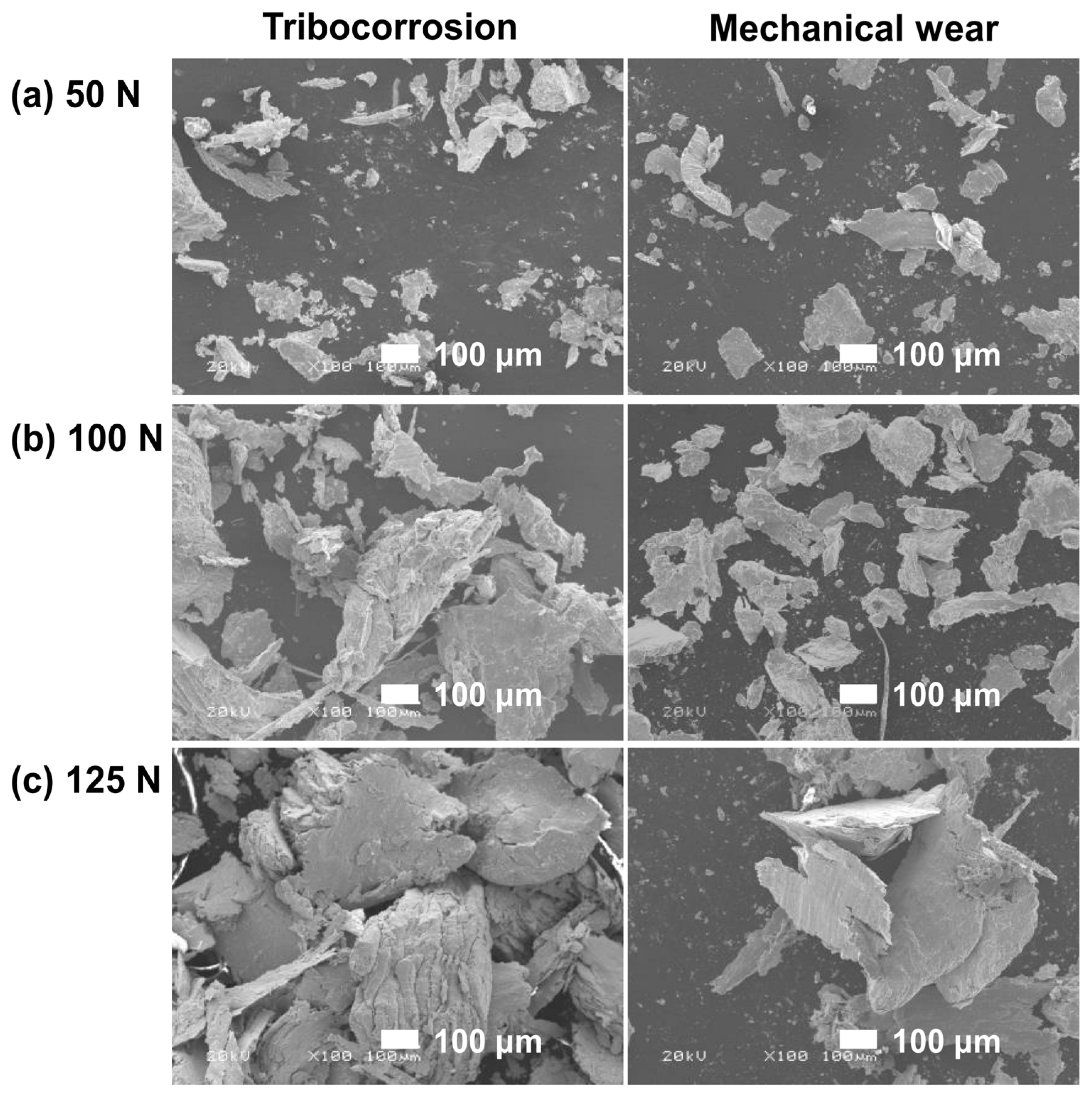 Metals 13 01287 g008