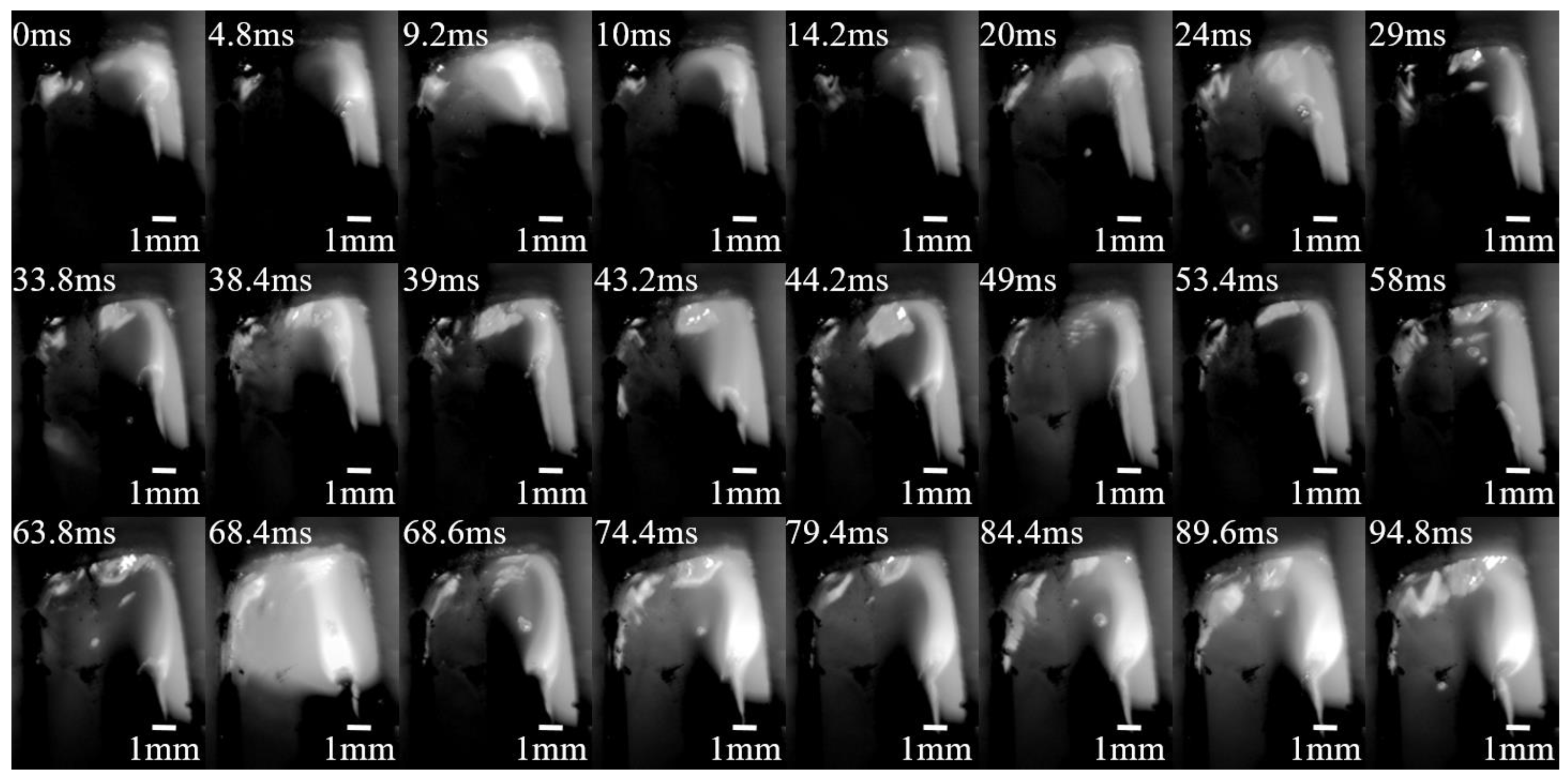 Metals 13 01314 g007