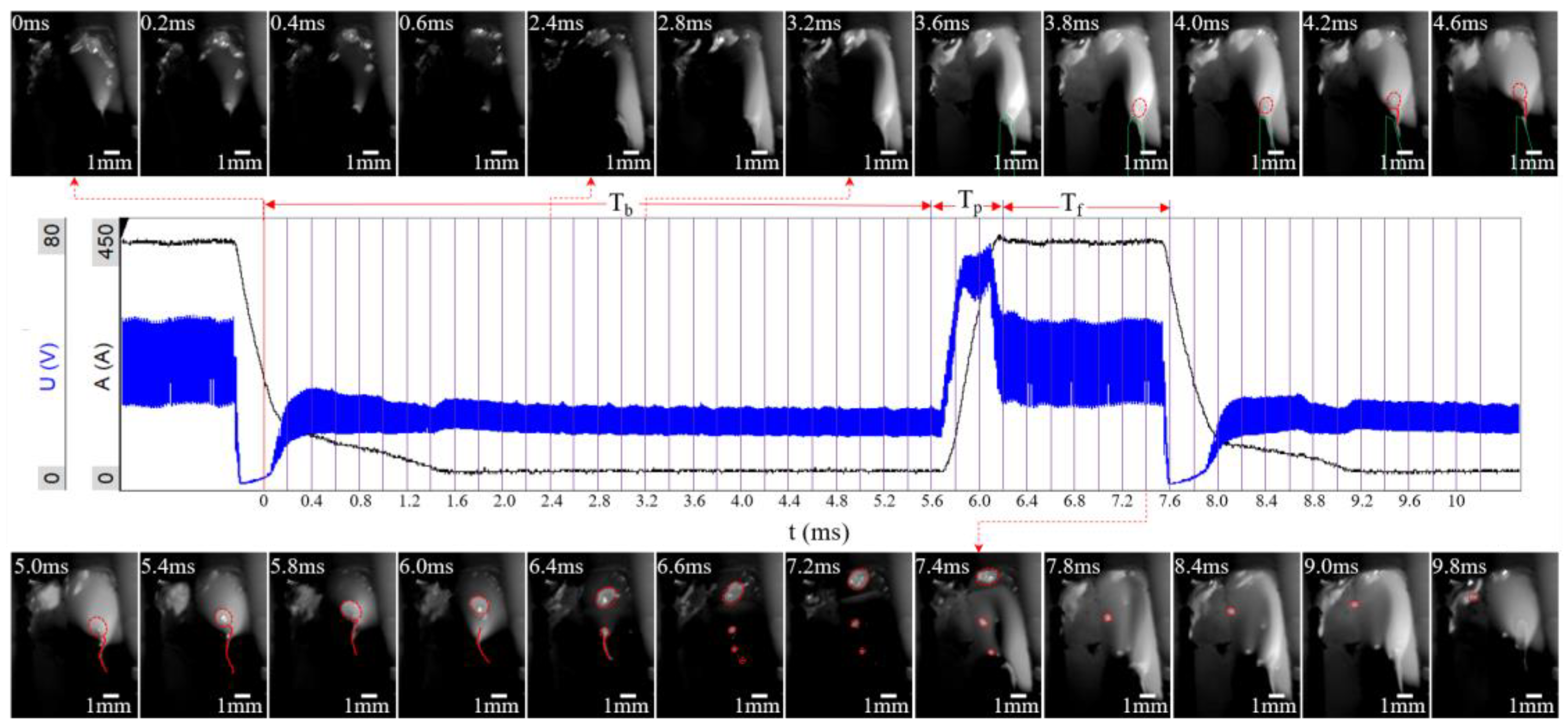 Metals 13 01314 g008