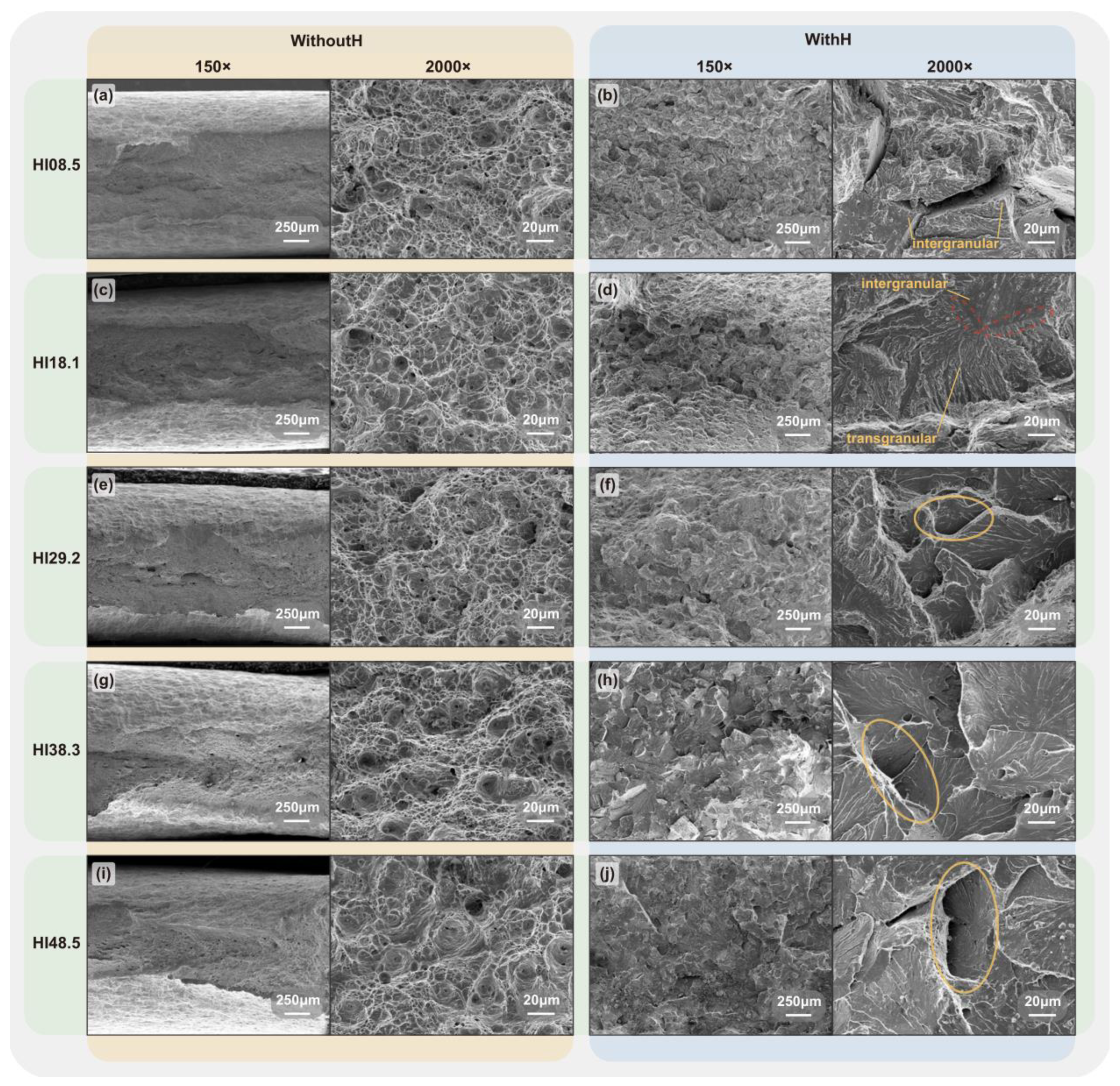 Metals 13 01325 g011