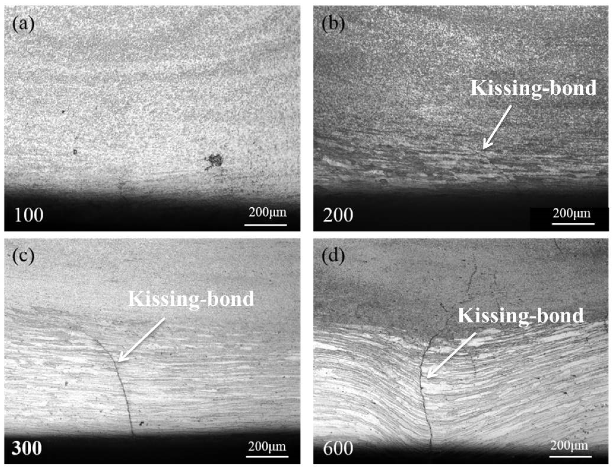 Metals 13 01326 g005