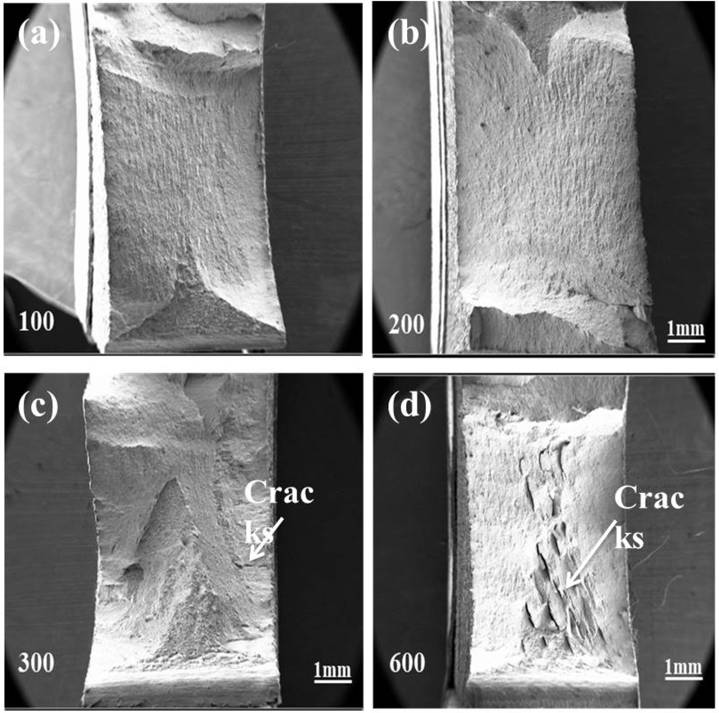 Metals 13 01326 g013