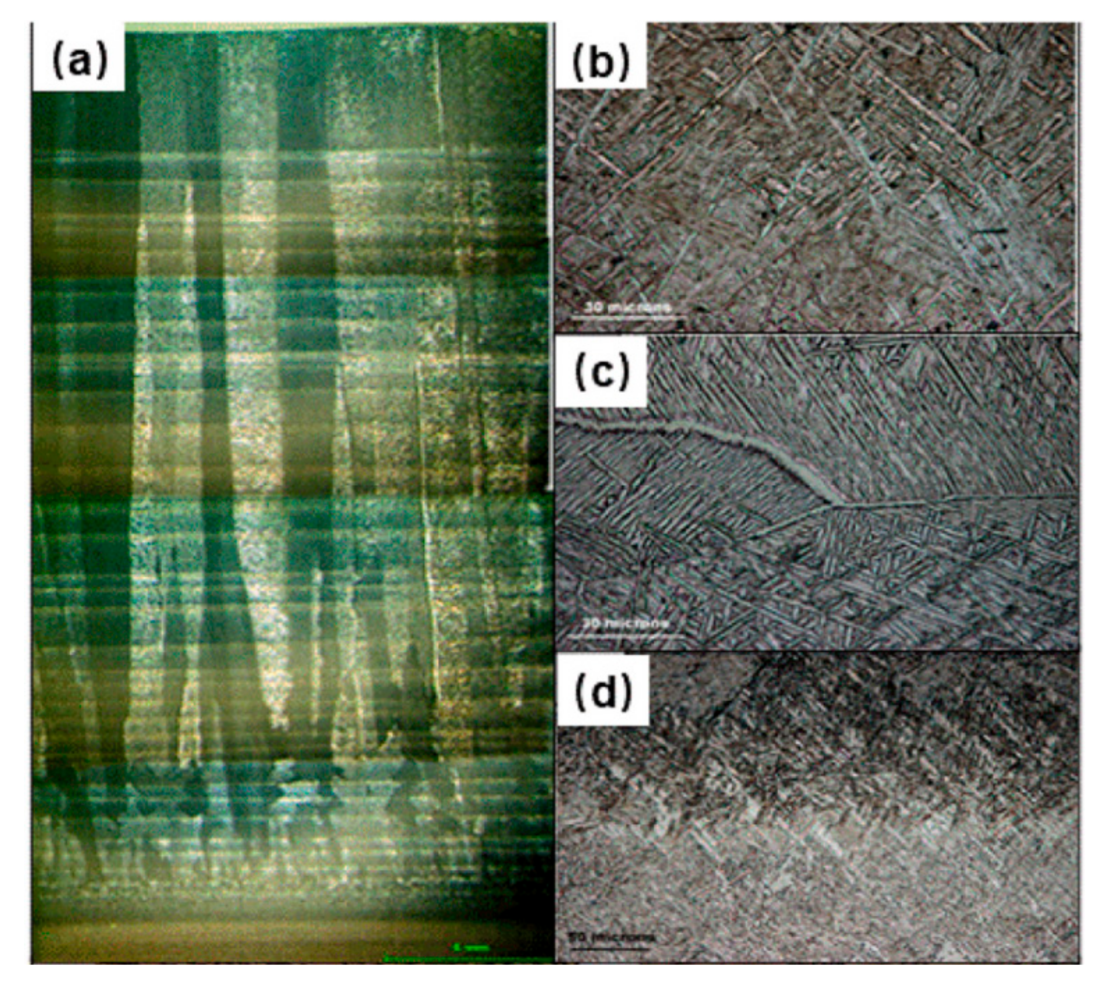 Metals 13 01327 g005